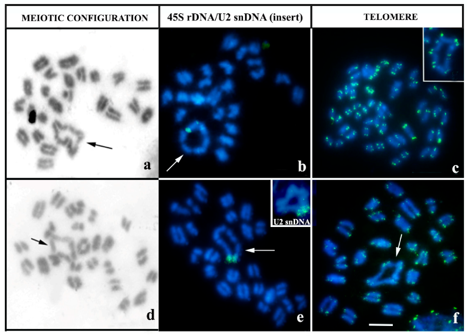 Biology 12 00563 g002