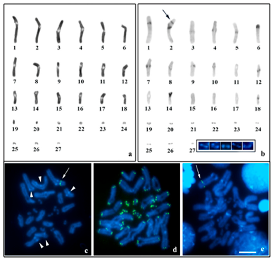 Biology 12 00563 g003