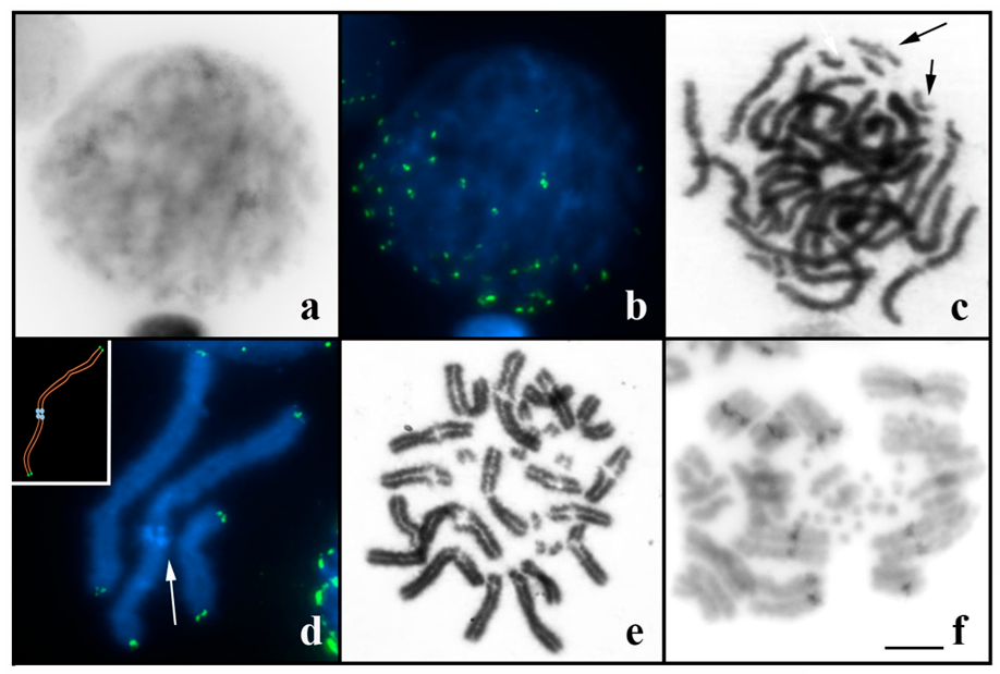 Biology 12 00563 g004
