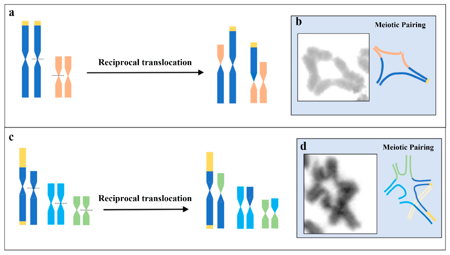 Biology 12 00563 g005