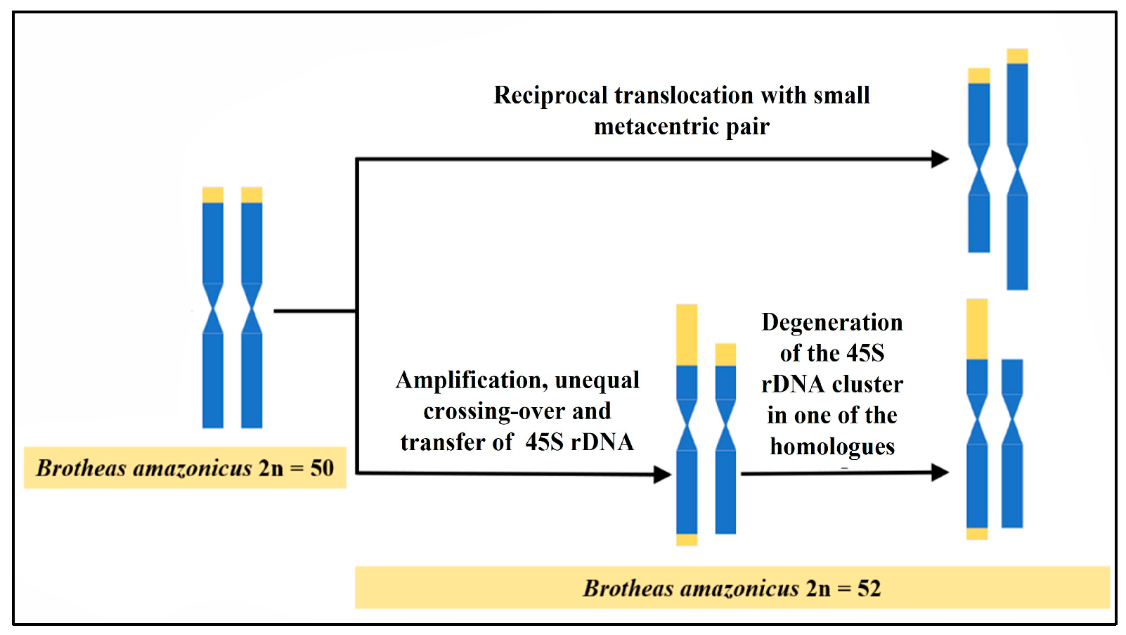 Biology 12 00563 g006