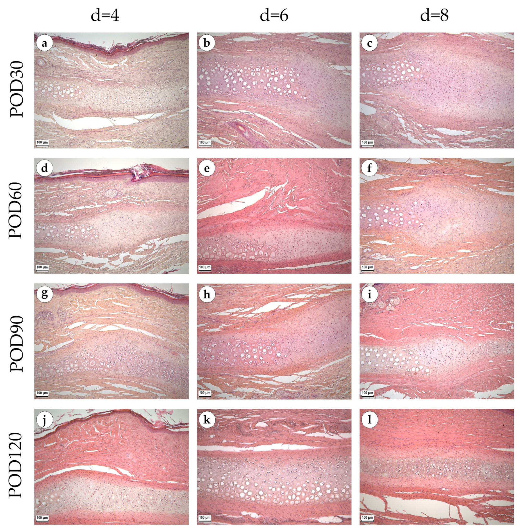 Biology 12 00565 g002 Biology 12 00565 g002