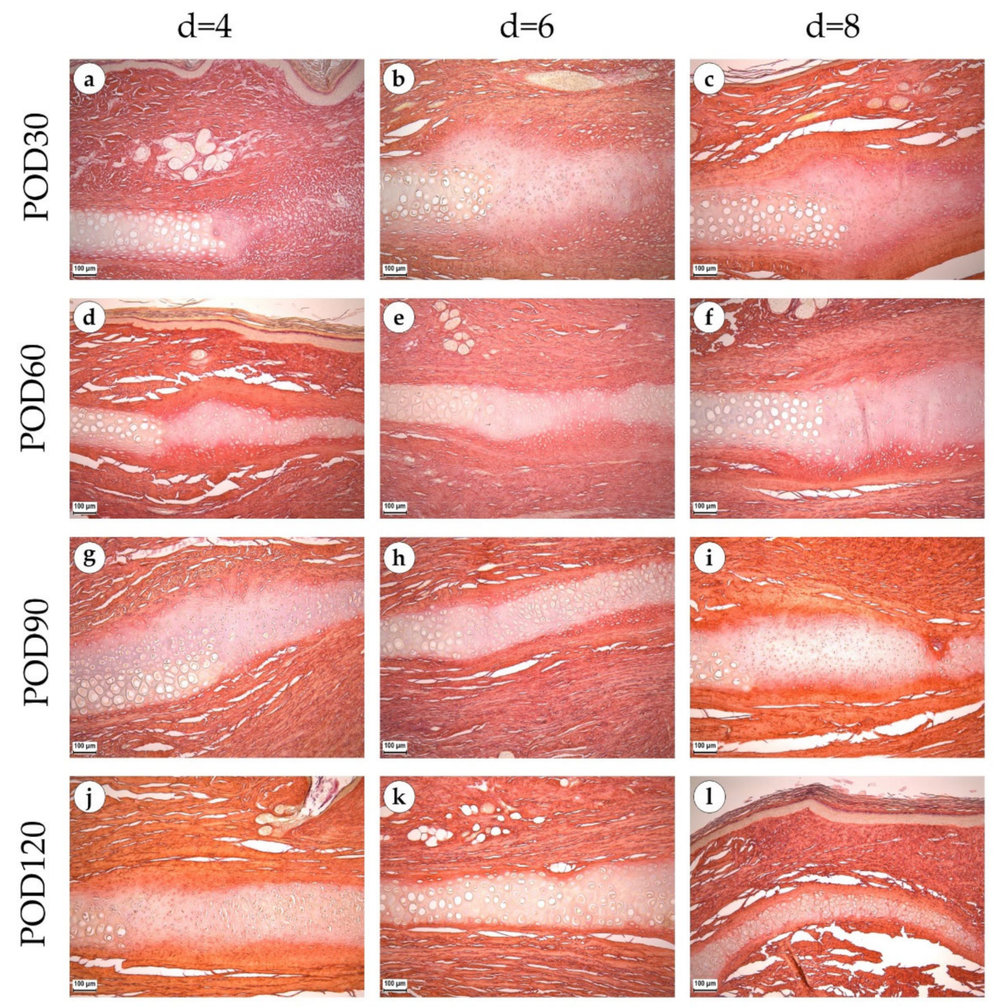 Biology 12 00565 g003 Biology 12 00565 g003