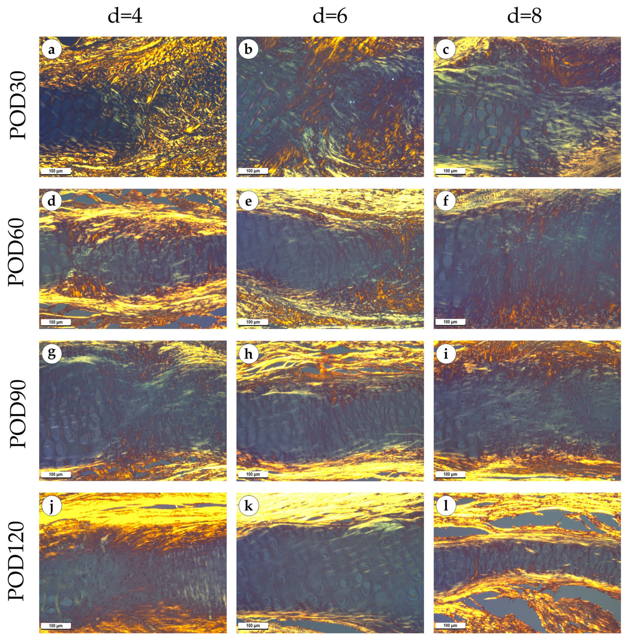 Biology 12 00565 g004 Biology 12 00565 g004