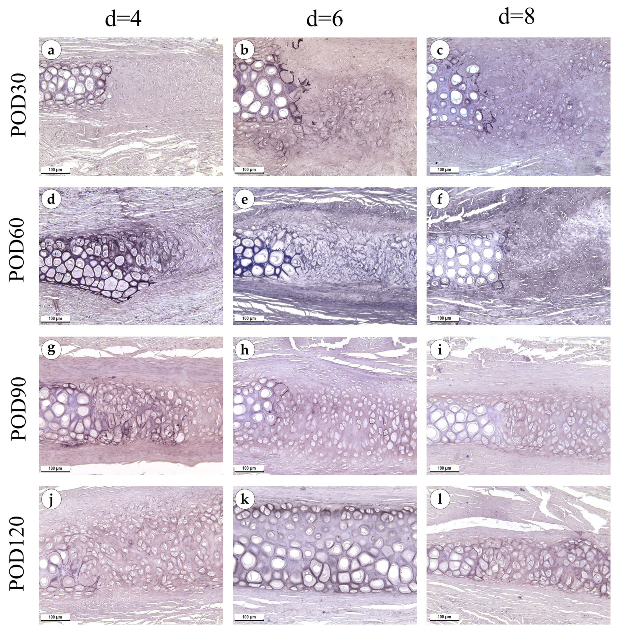 Biology 12 00565 g007 Biology 12 00565 g007