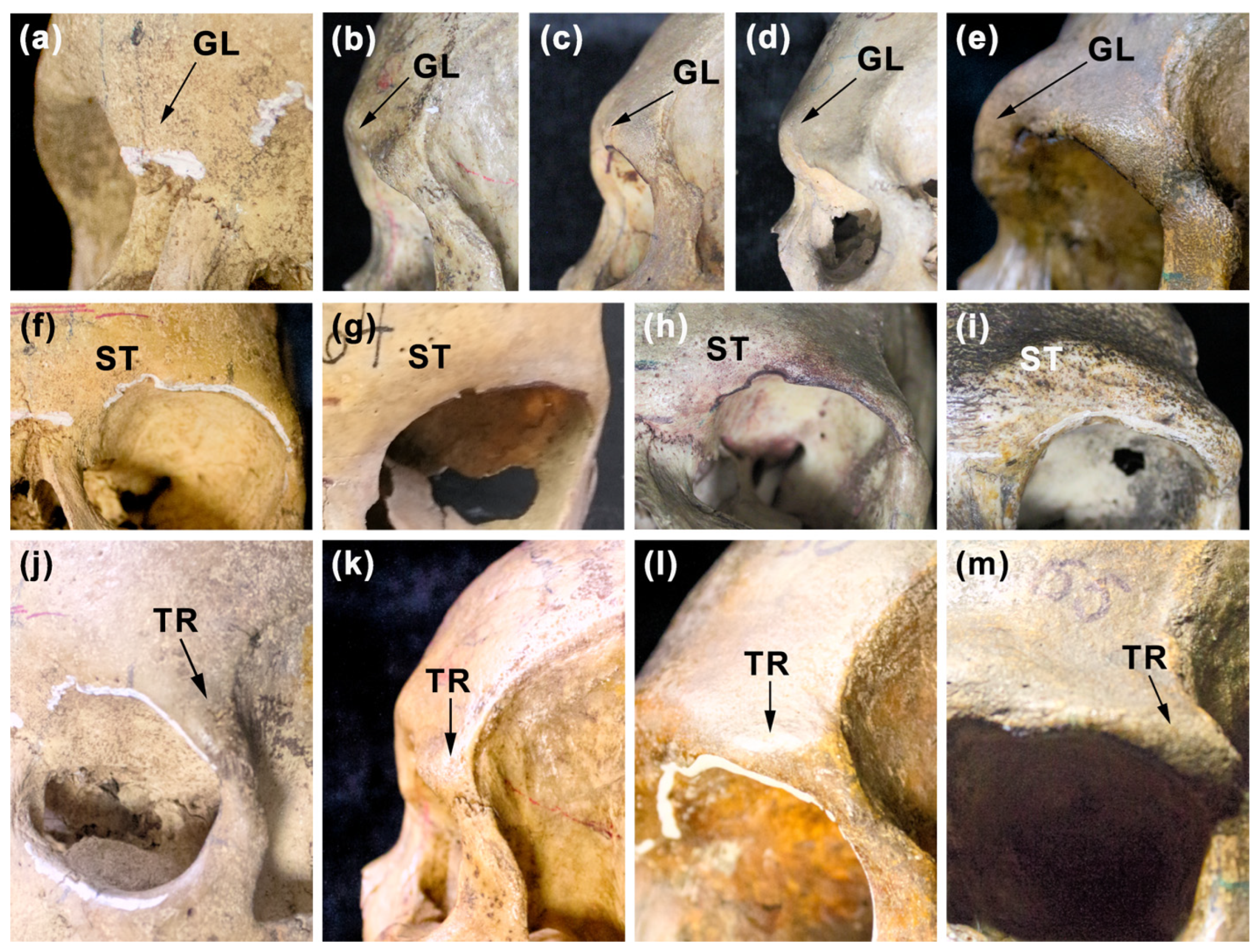 Biology 12 00566 g002 Biology 12 00566 g002