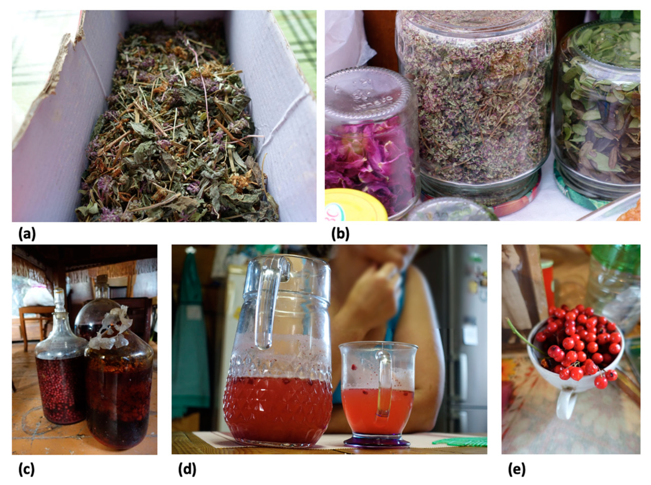 Biology 12 00571 g004 Biology 12 00571 g004