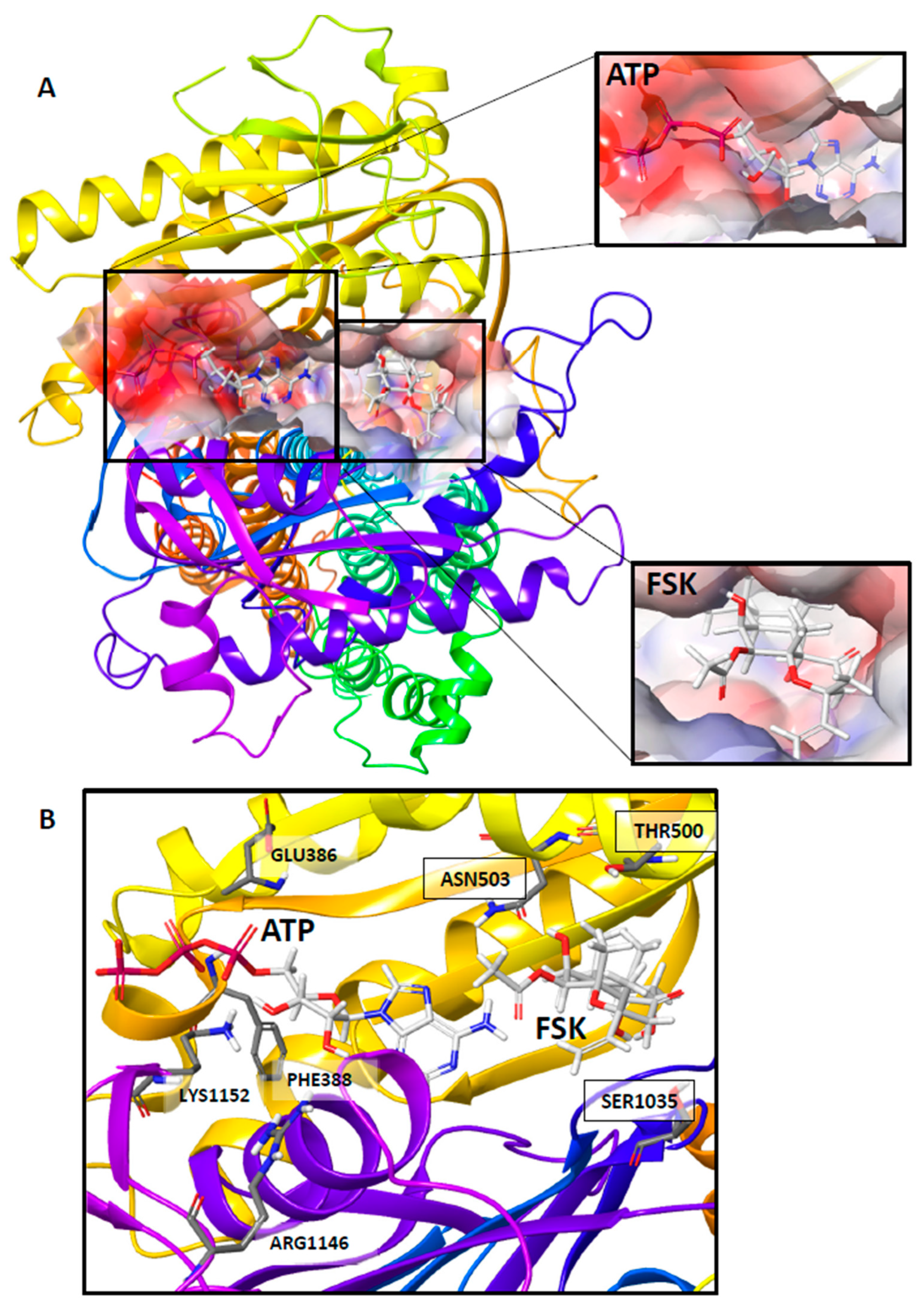 Biology 12 00572 g002 Biology 12 00572 g002