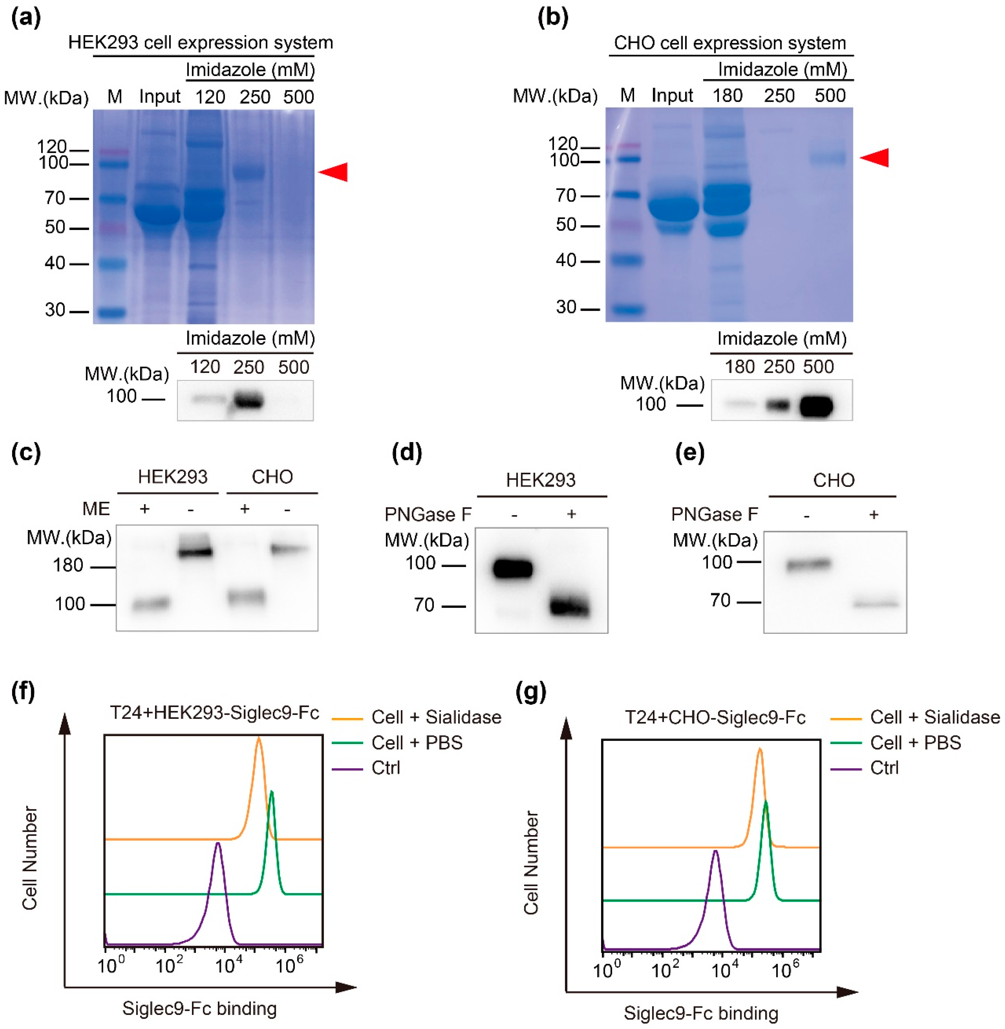 Biology 12 00574 g002