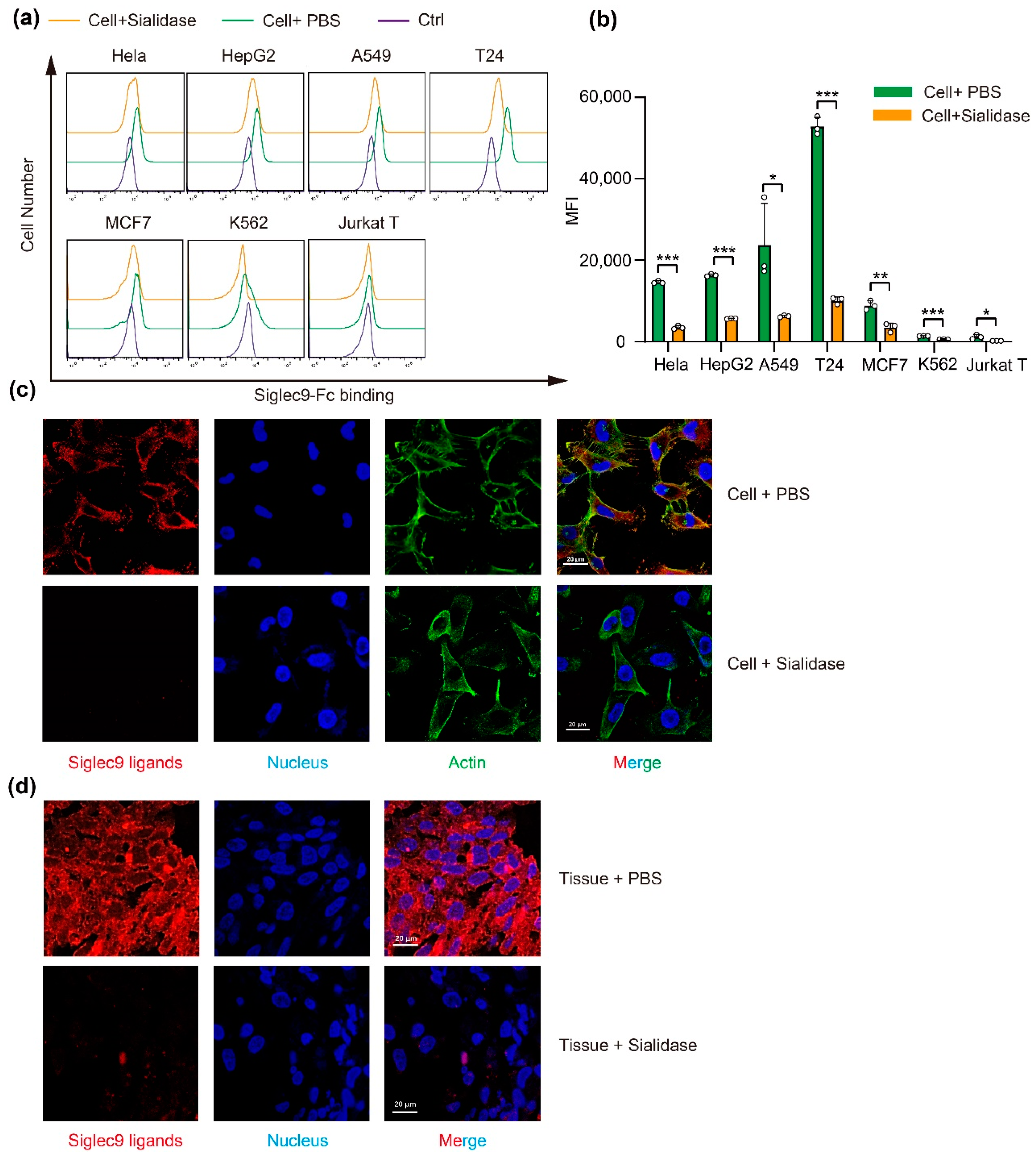 Biology 12 00574 g004