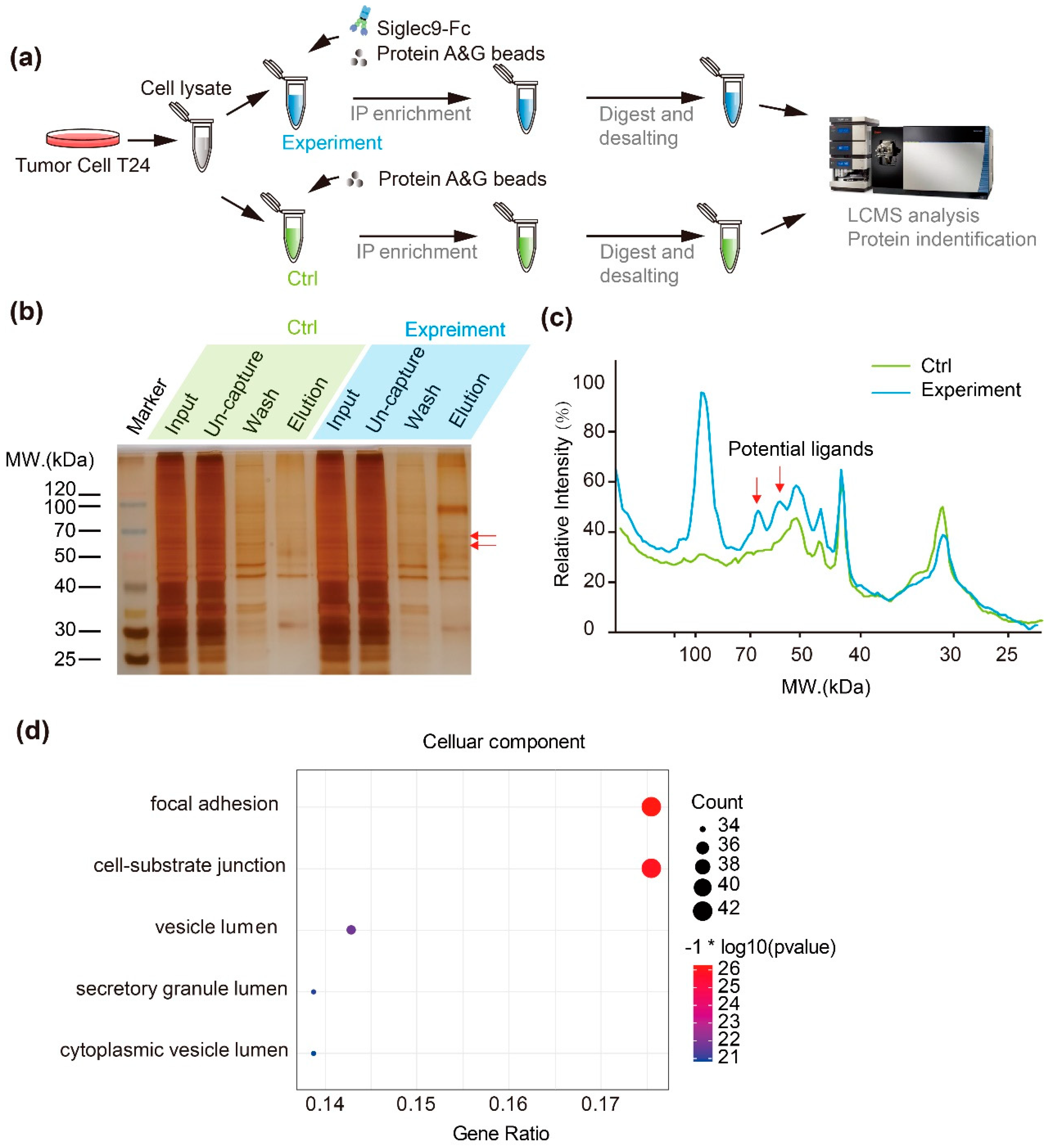 Biology 12 00574 g005