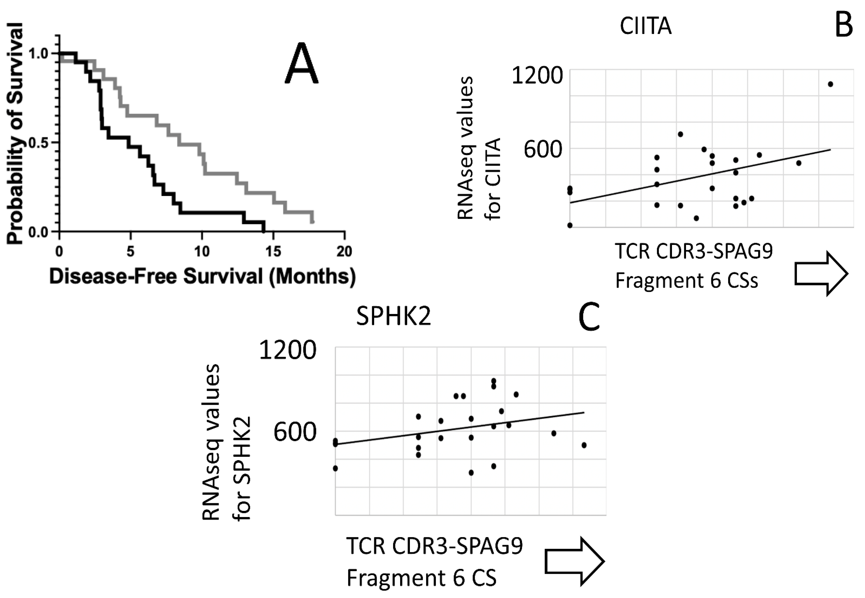 Biology 12 00575 g004