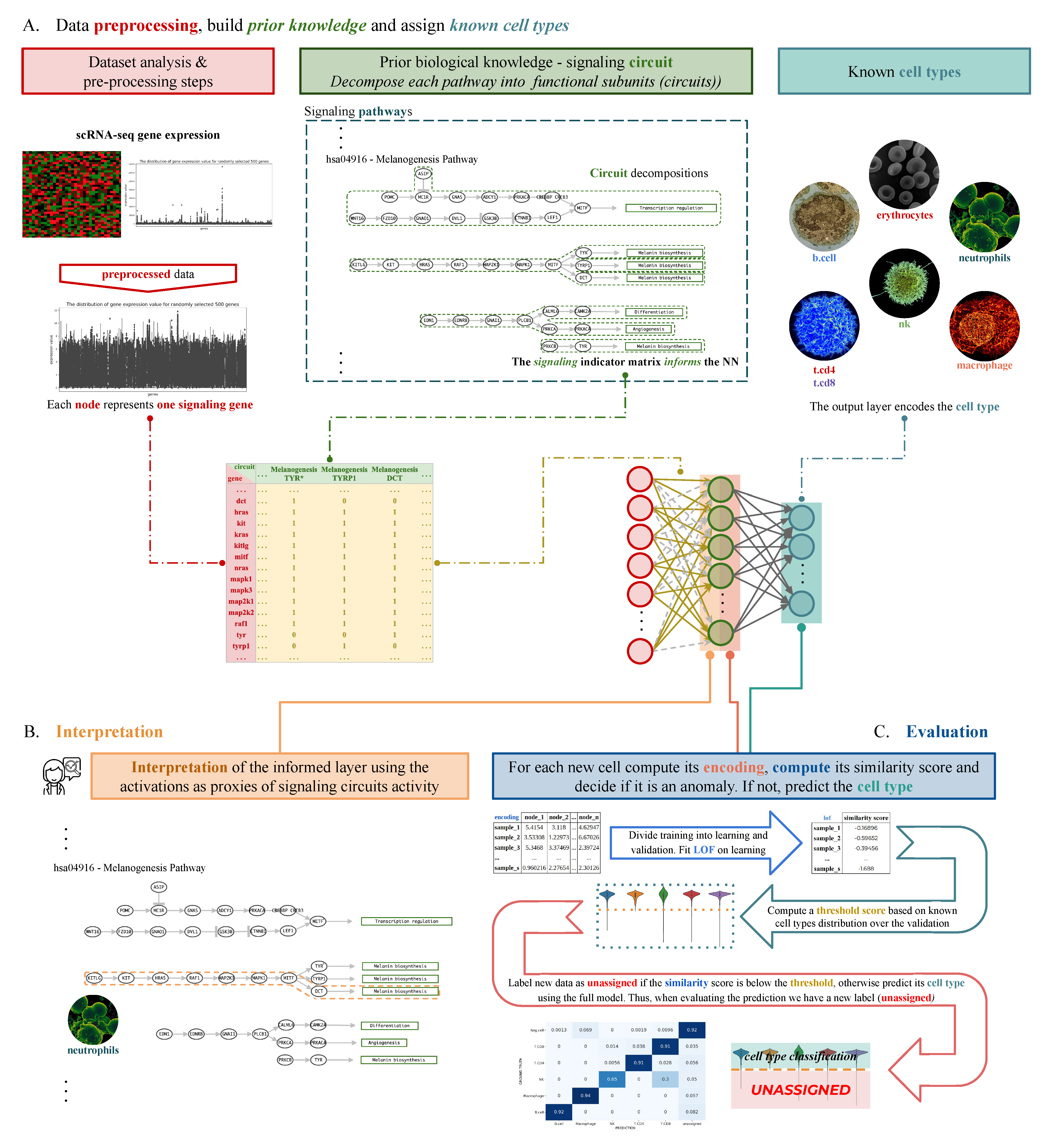 Biology 12 00579 g001