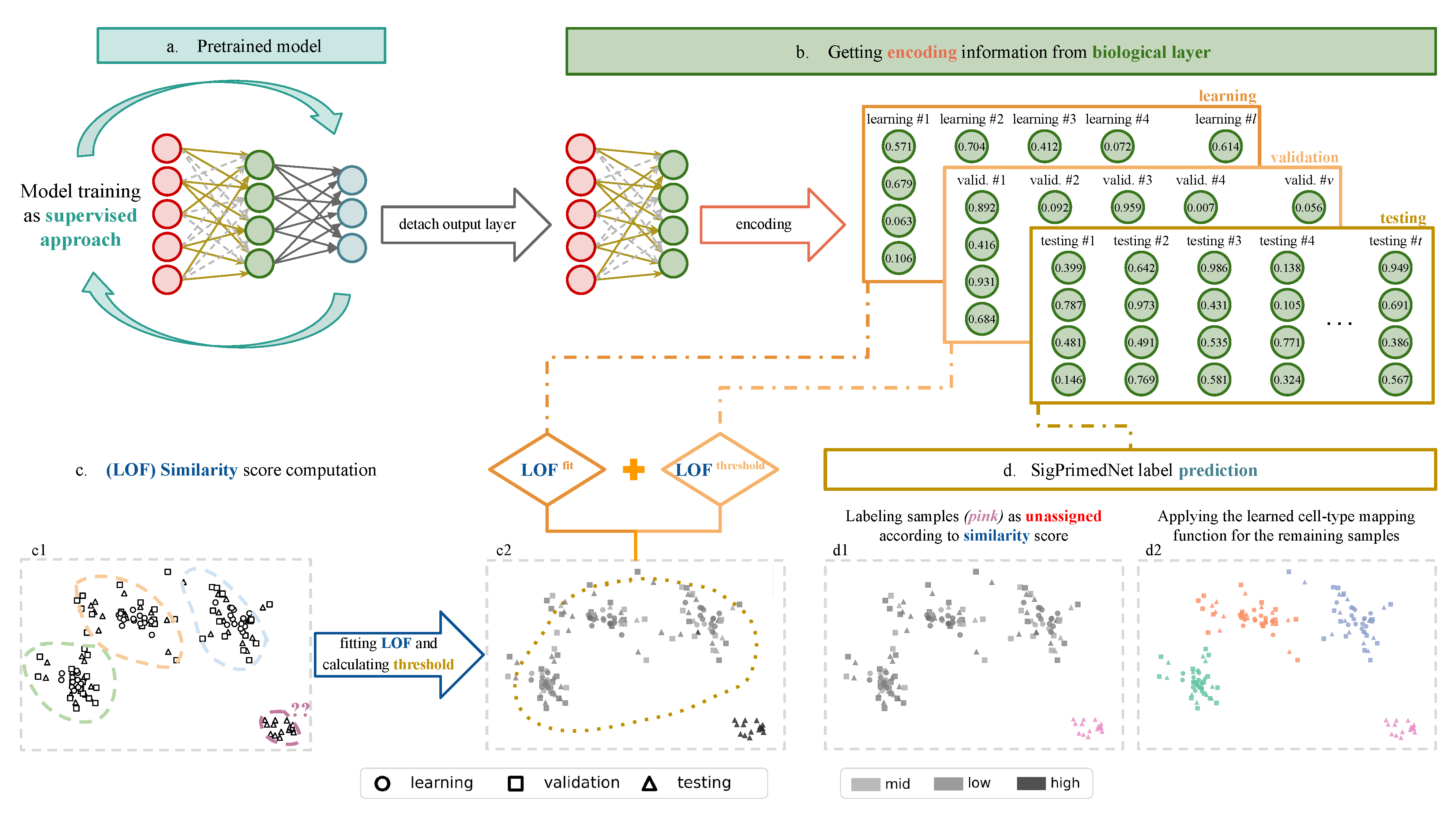 Biology 12 00579 g003