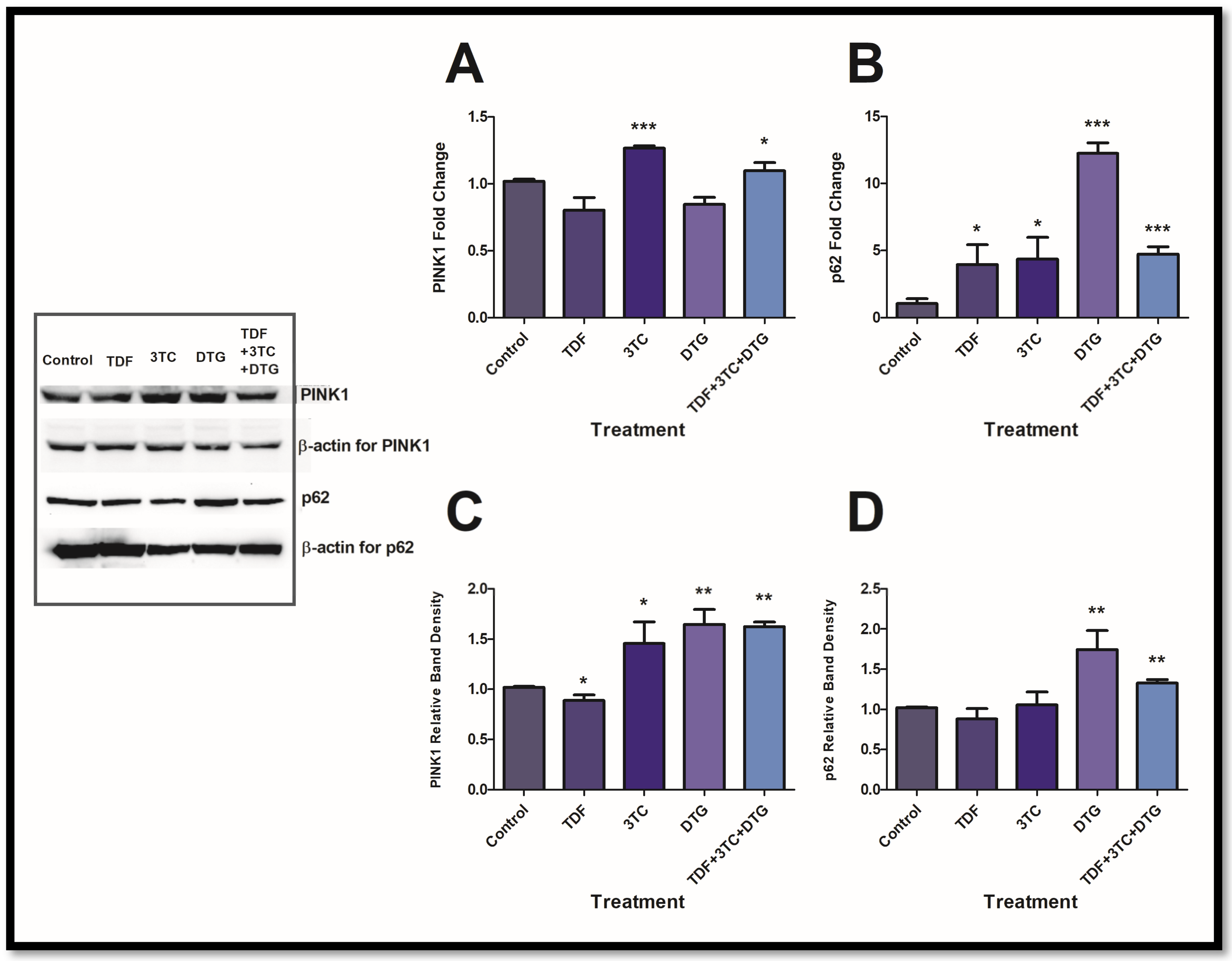 Biology 12 00580 g002 Biology 12 00580 g002
