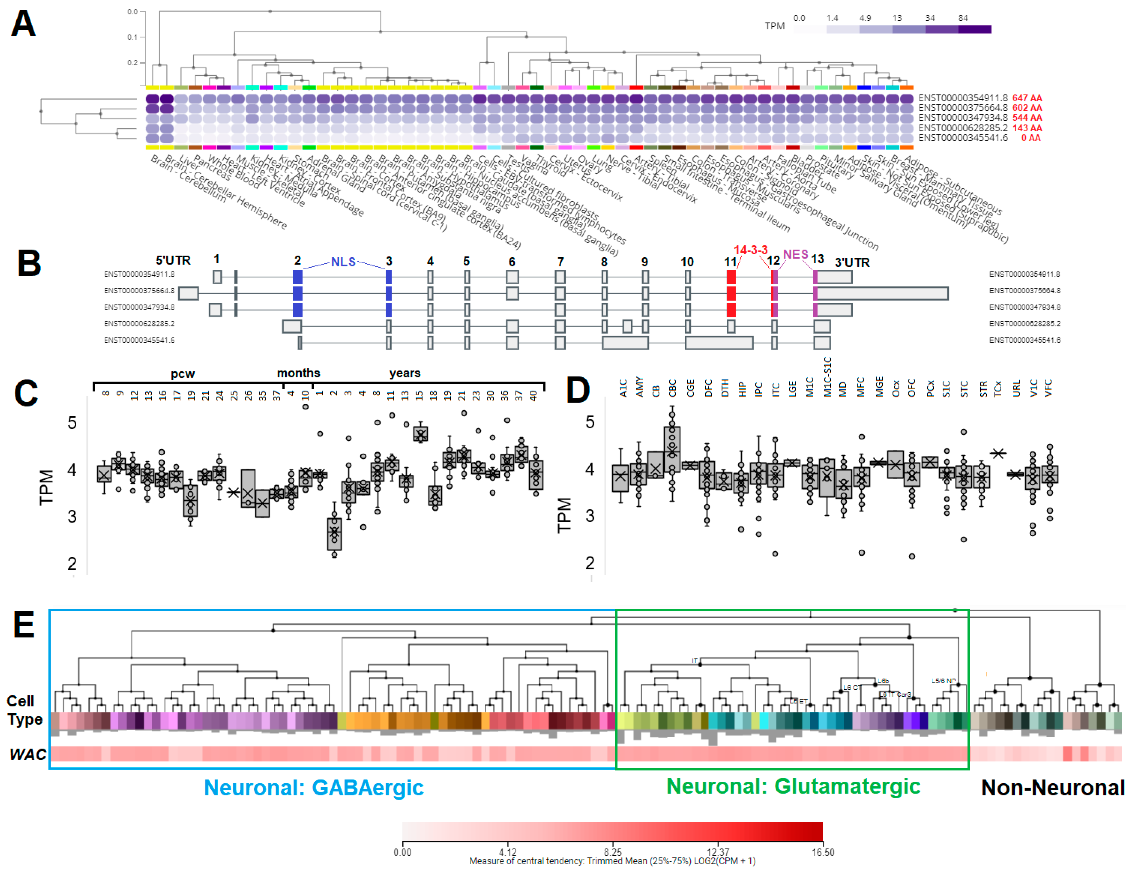 Biology 12 00589 g004