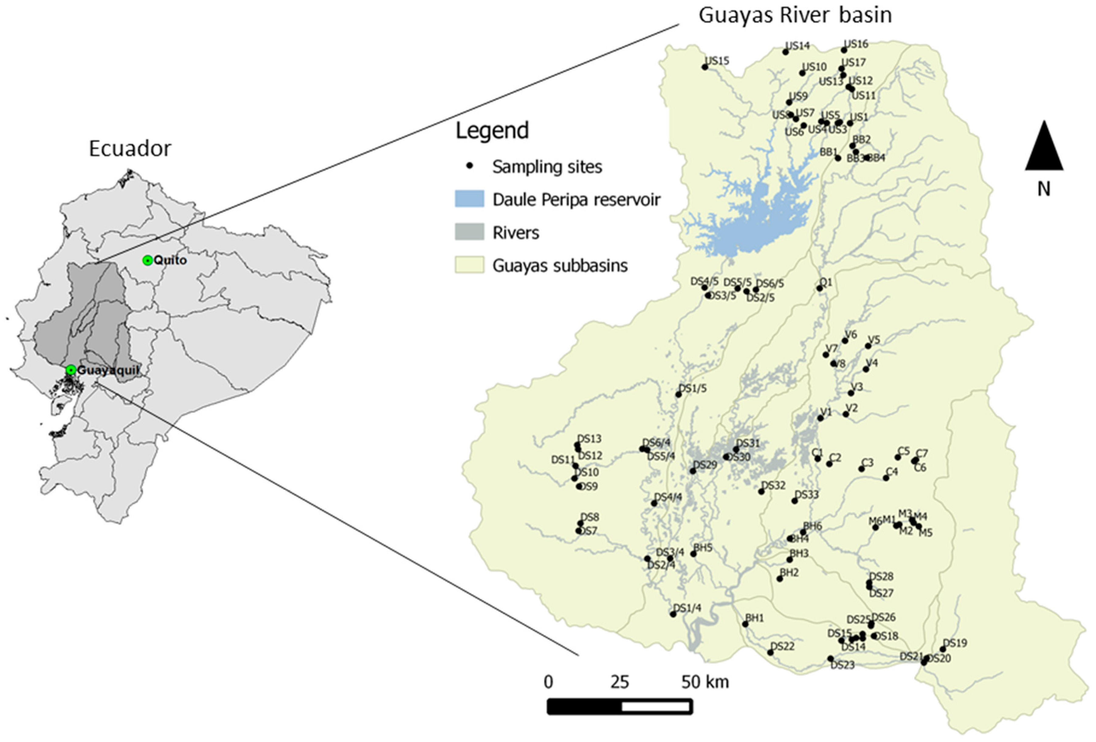 Biology 12 00593 g001 Biology 12 00593 g001