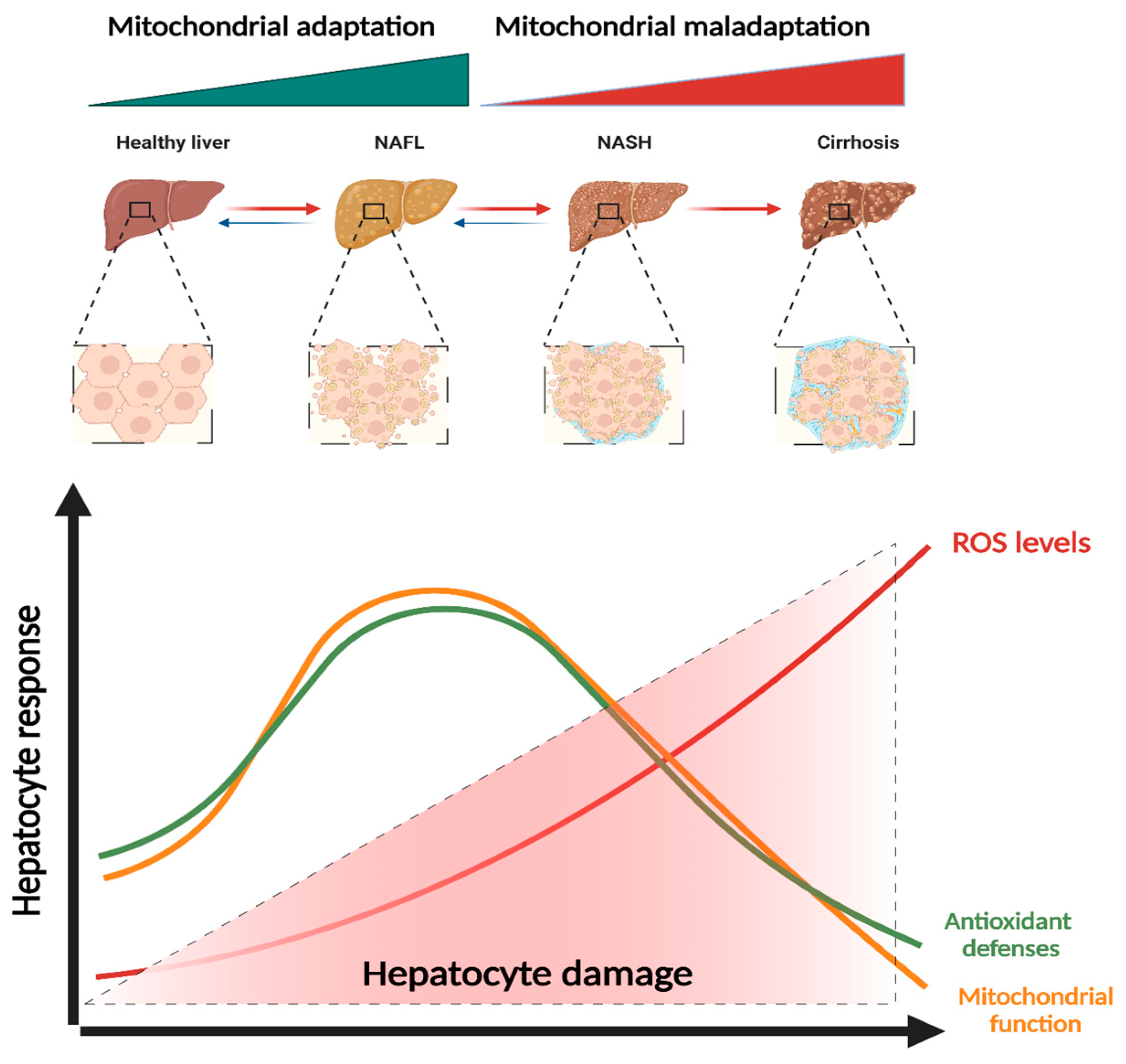 Biology 12 00595 g002