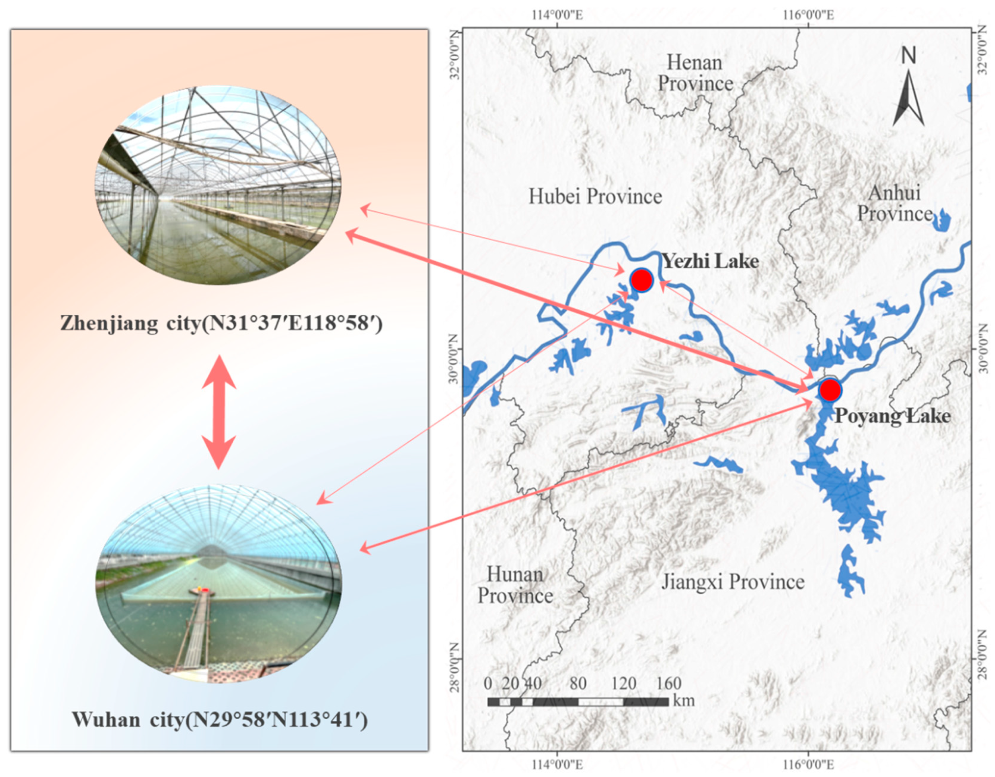 Biology 12 00600 g004 Biology 12 00600 g004
