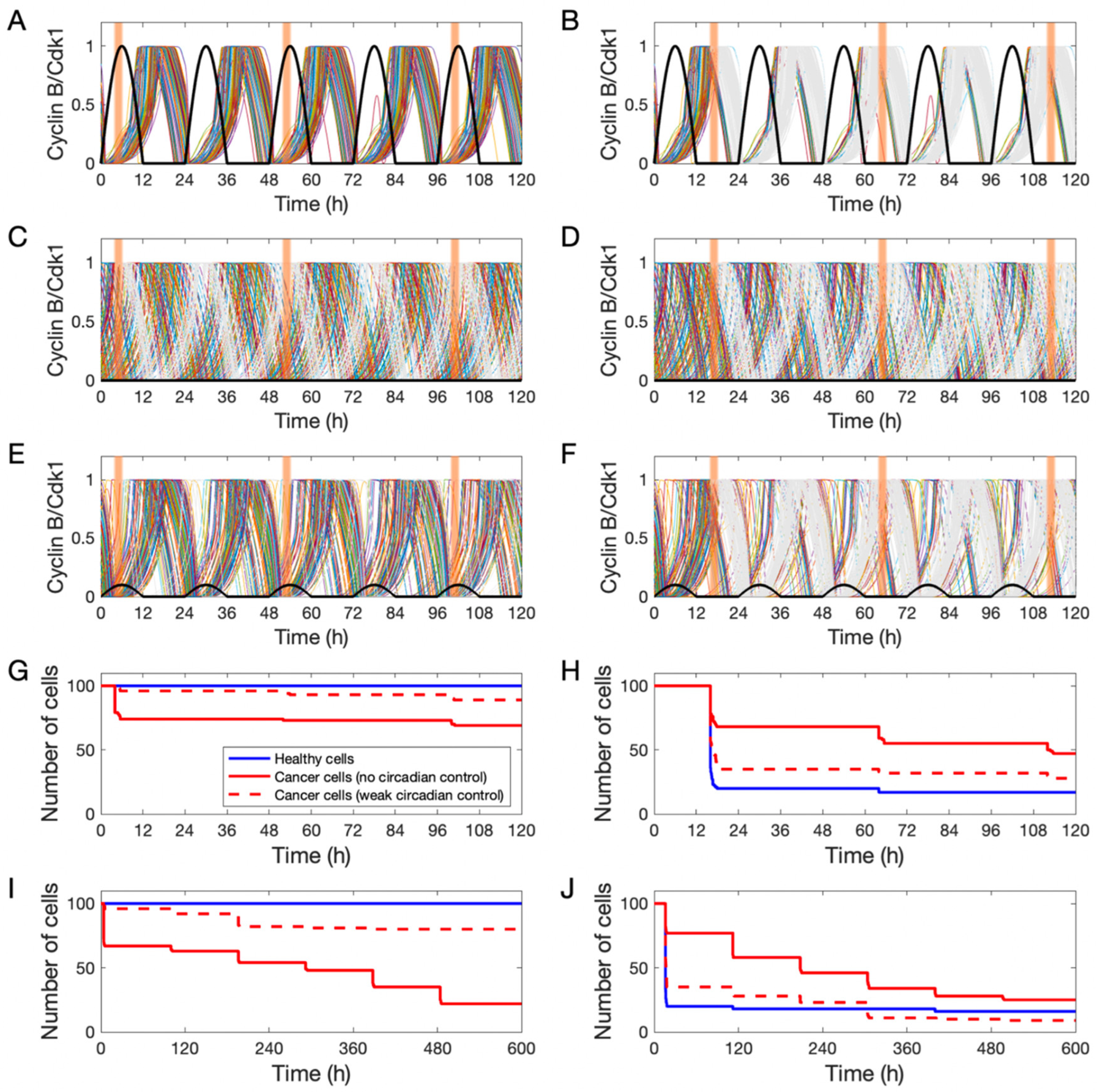 Biology 12 00612 g004