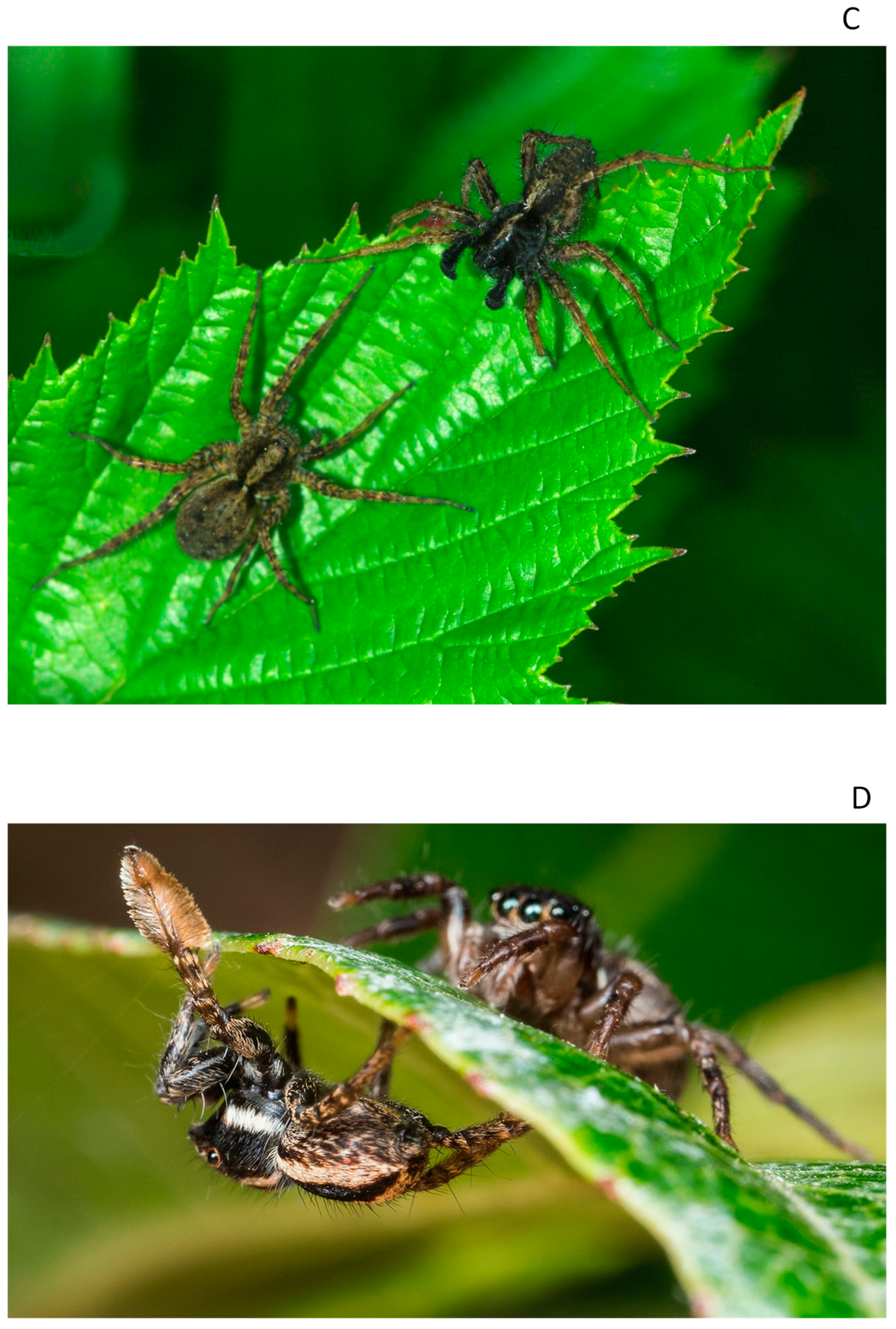 Biology 12 00615 g001b Biology 12 00615 g001b