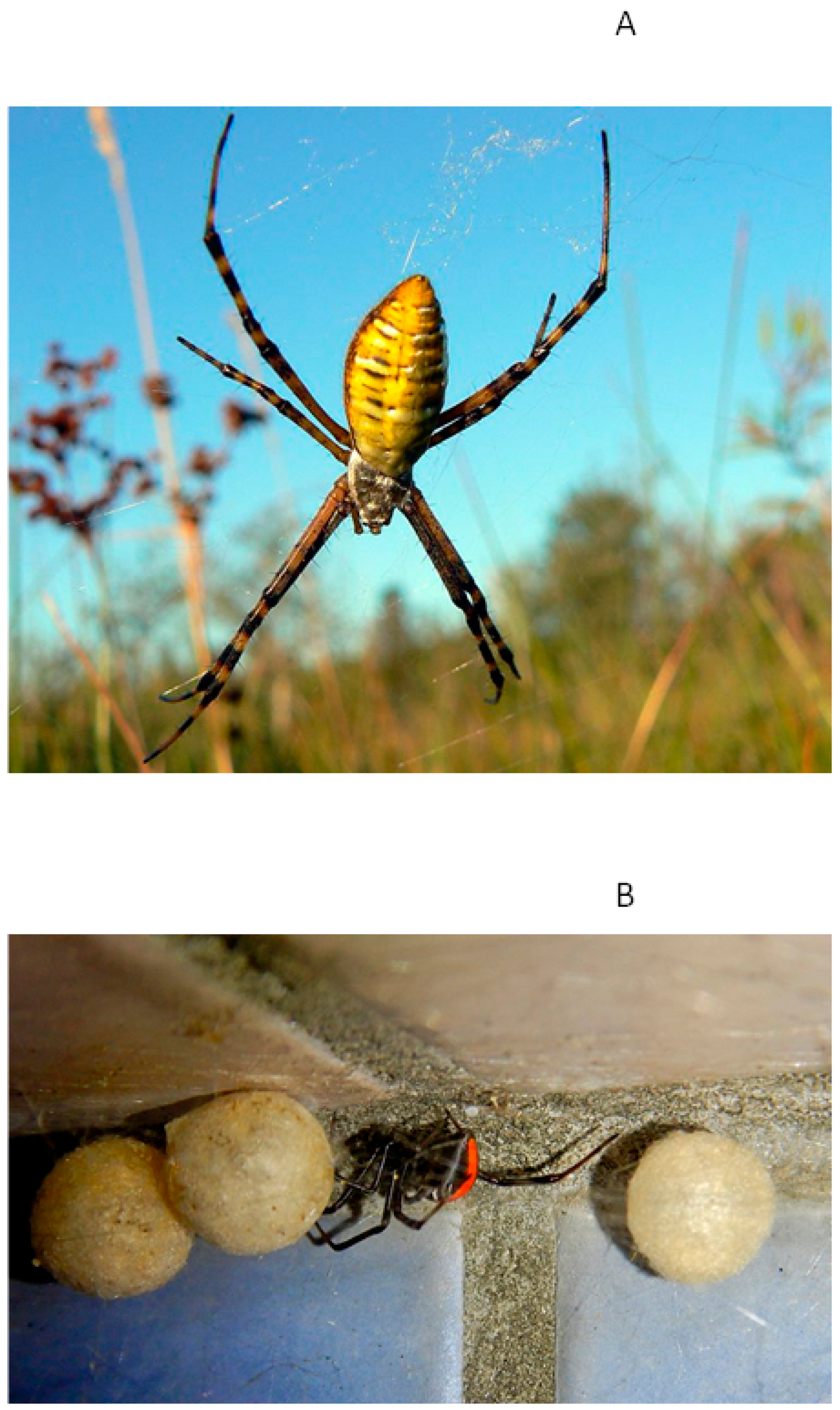 Biology 12 00615 g002 Biology 12 00615 g002