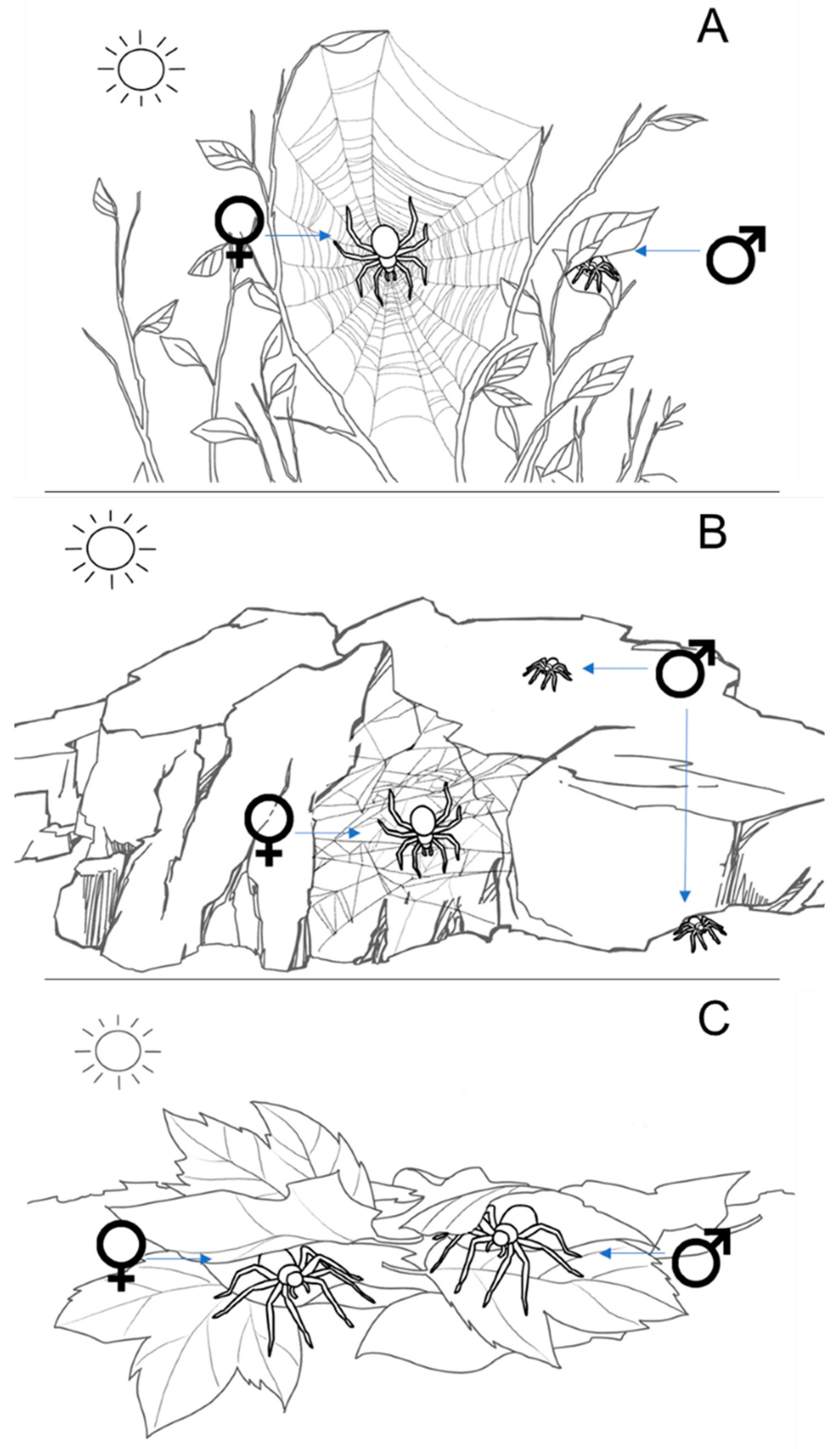 Biology 12 00615 g003 Biology 12 00615 g003