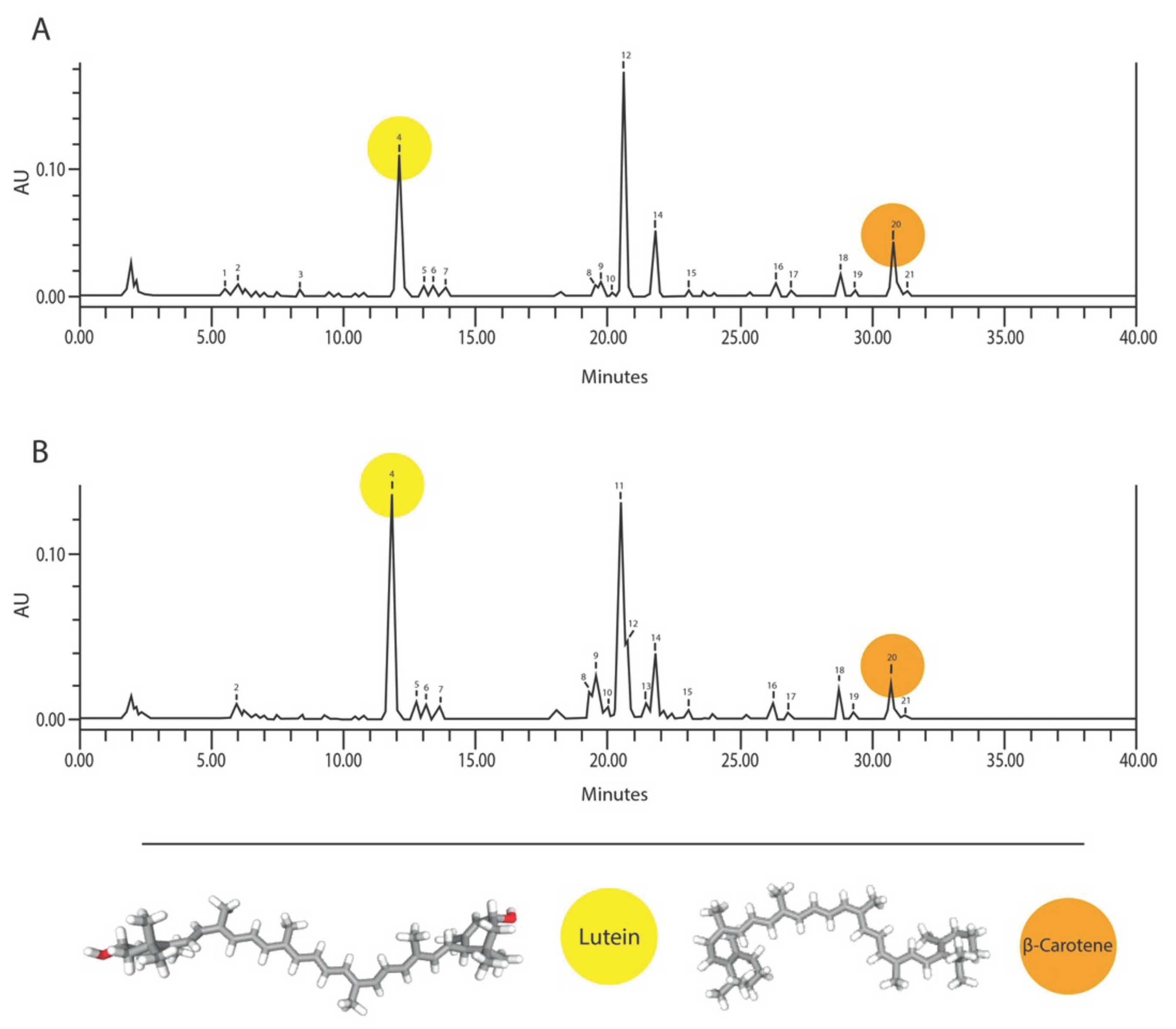 Biology 12 00620 g002 Biology 12 00620 g002