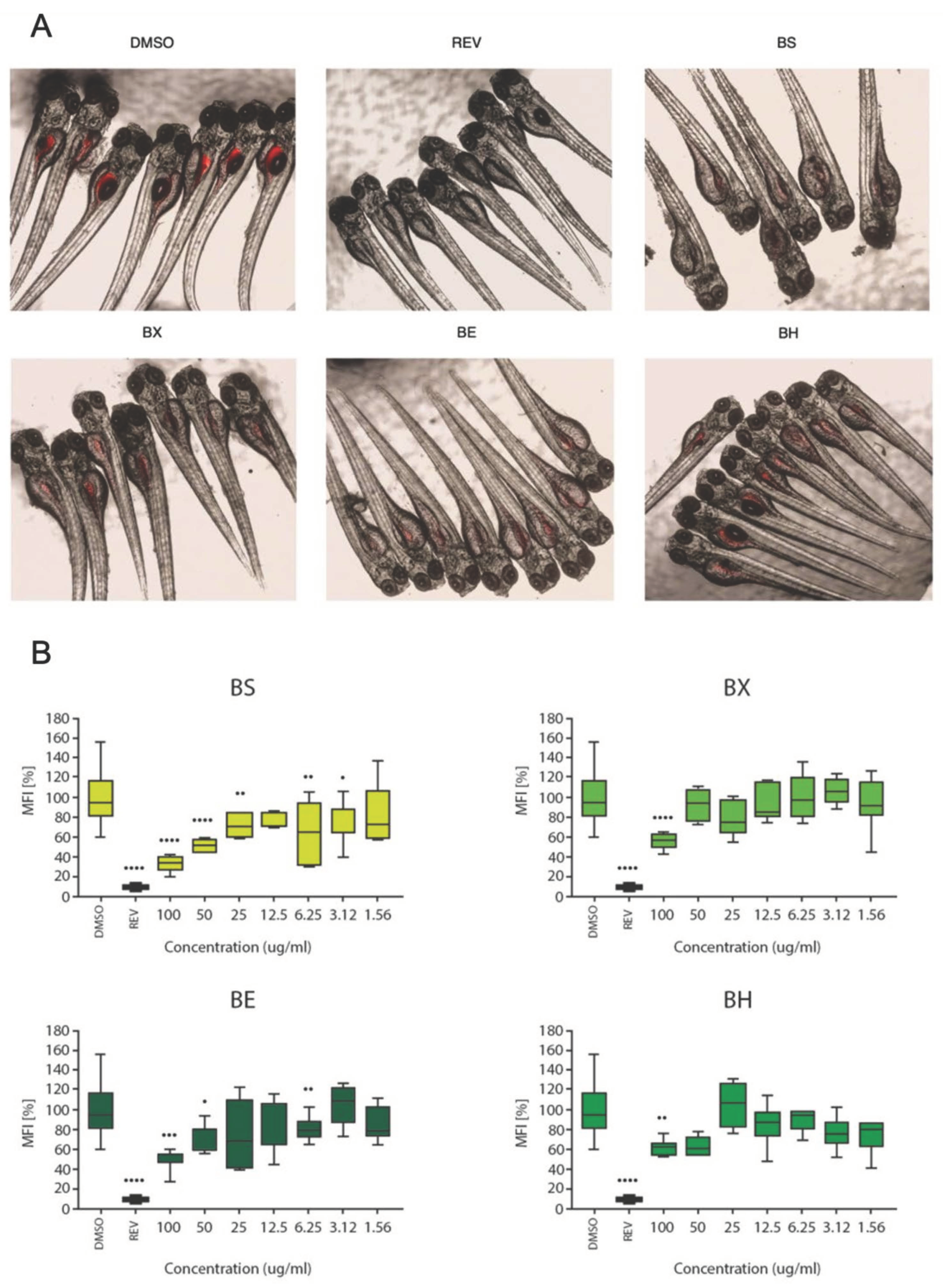 Biology 12 00620 g005 Biology 12 00620 g005