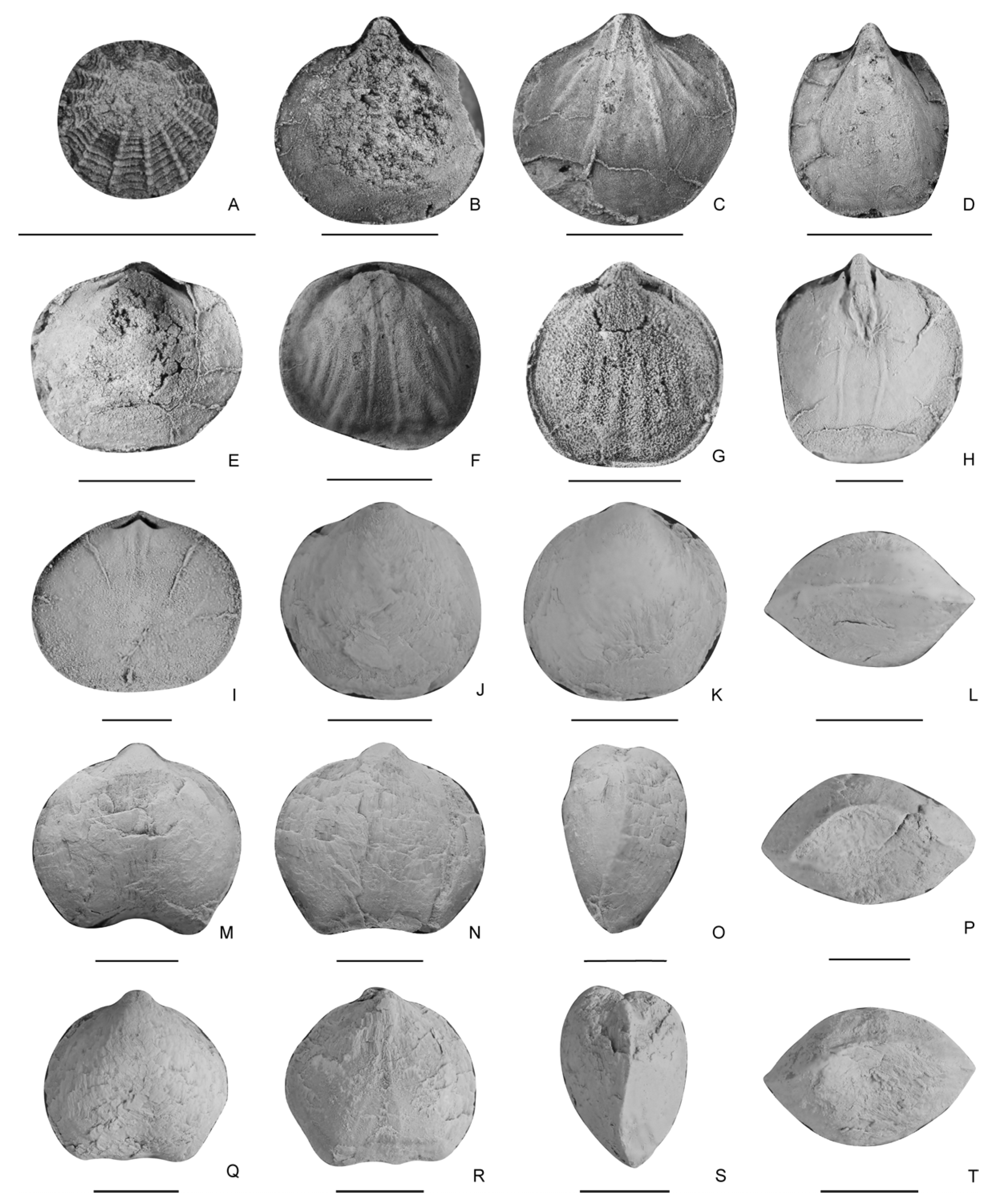 Biology 12 00622 g004