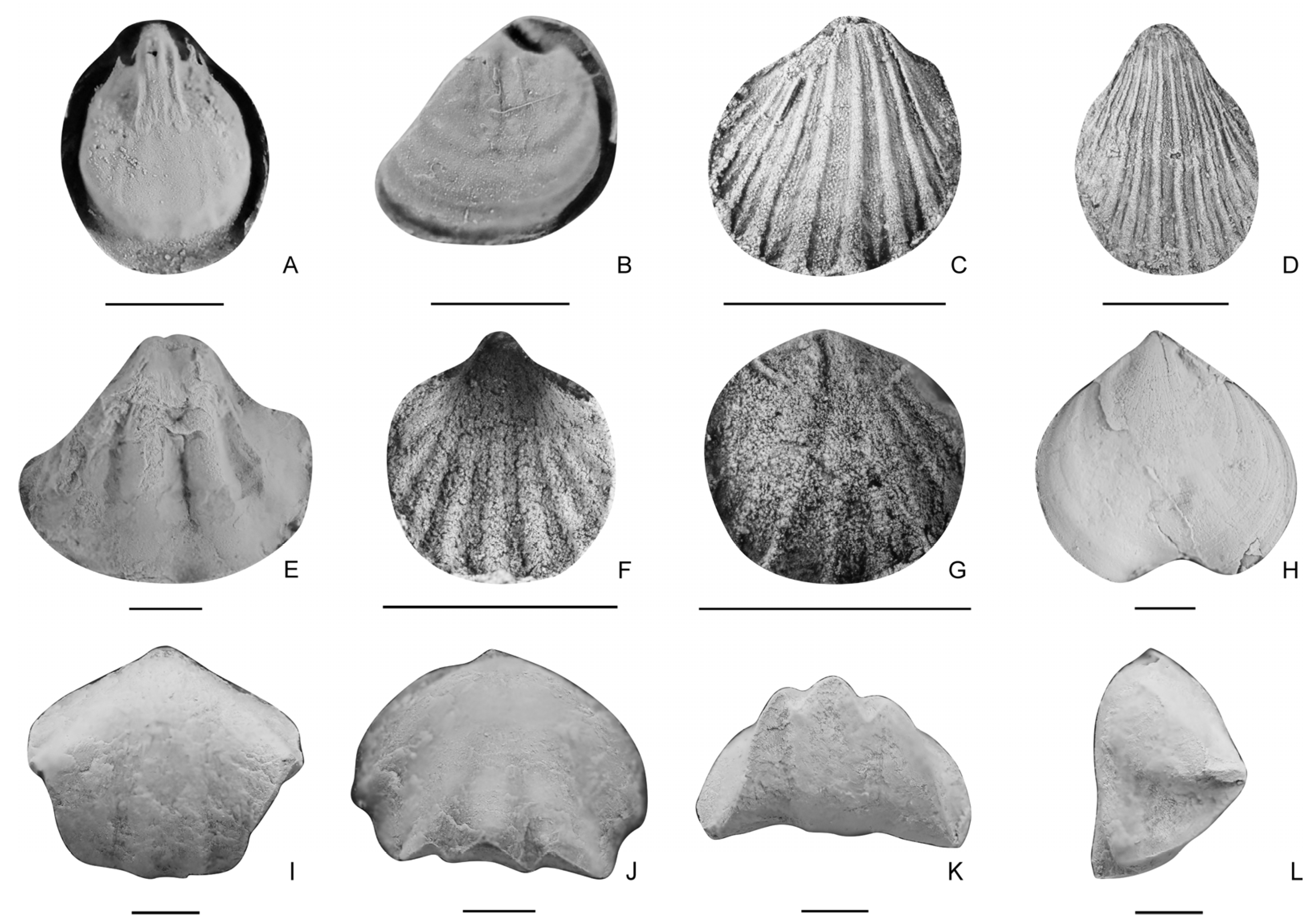 Biology 12 00622 g005