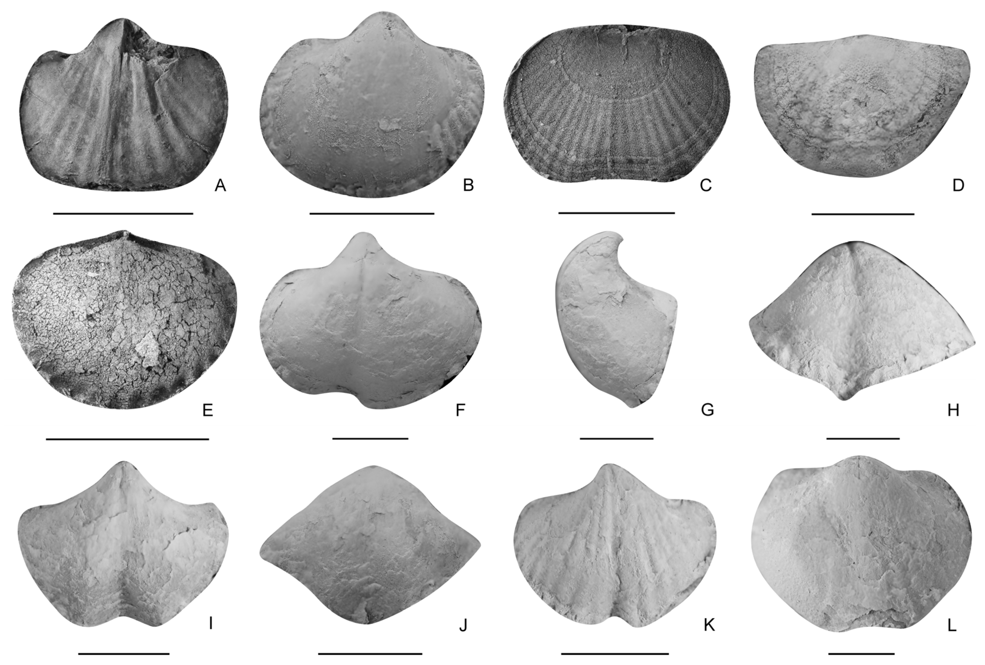 Biology 12 00622 g006