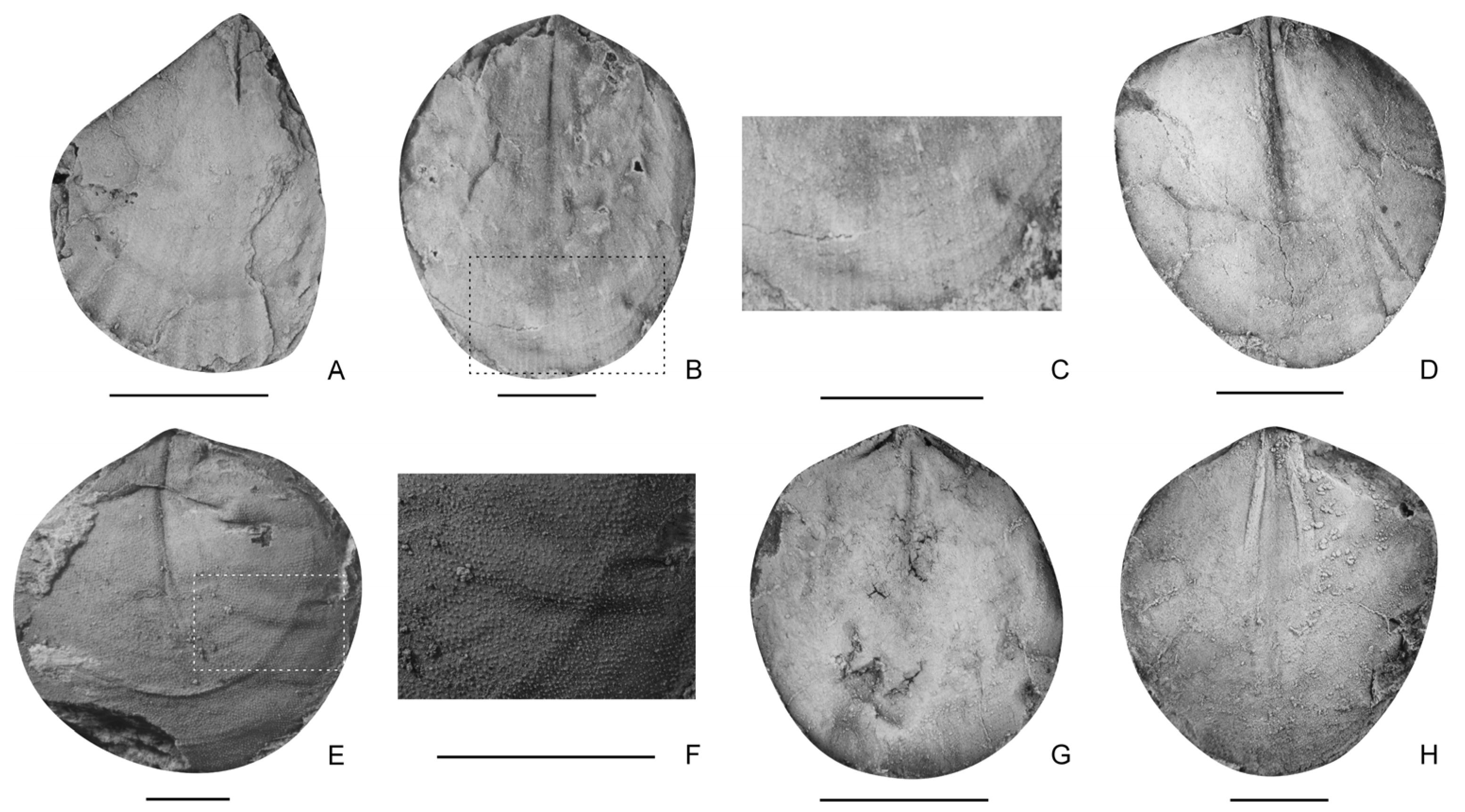 Biology 12 00622 g007