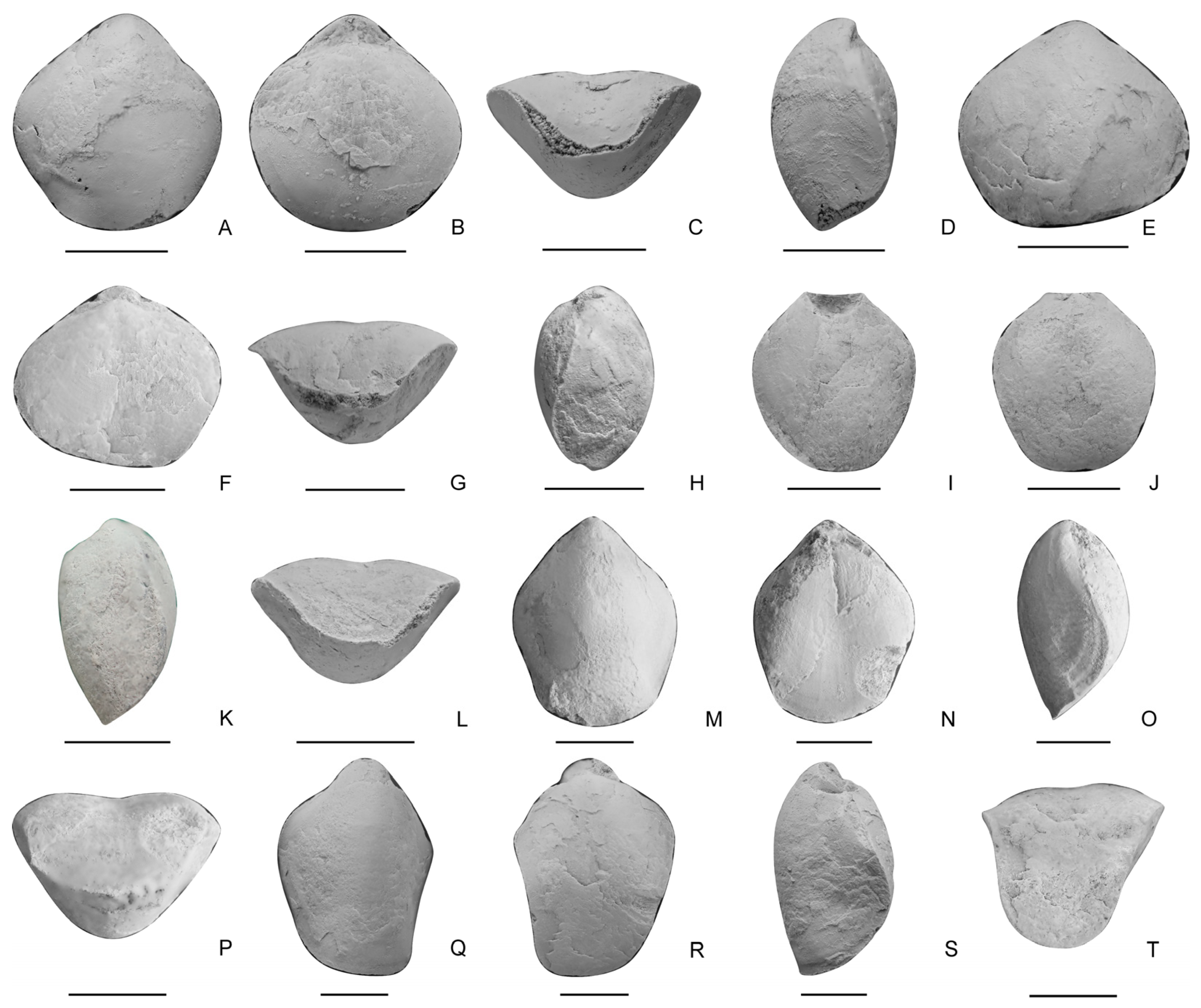 Biology 12 00622 g008