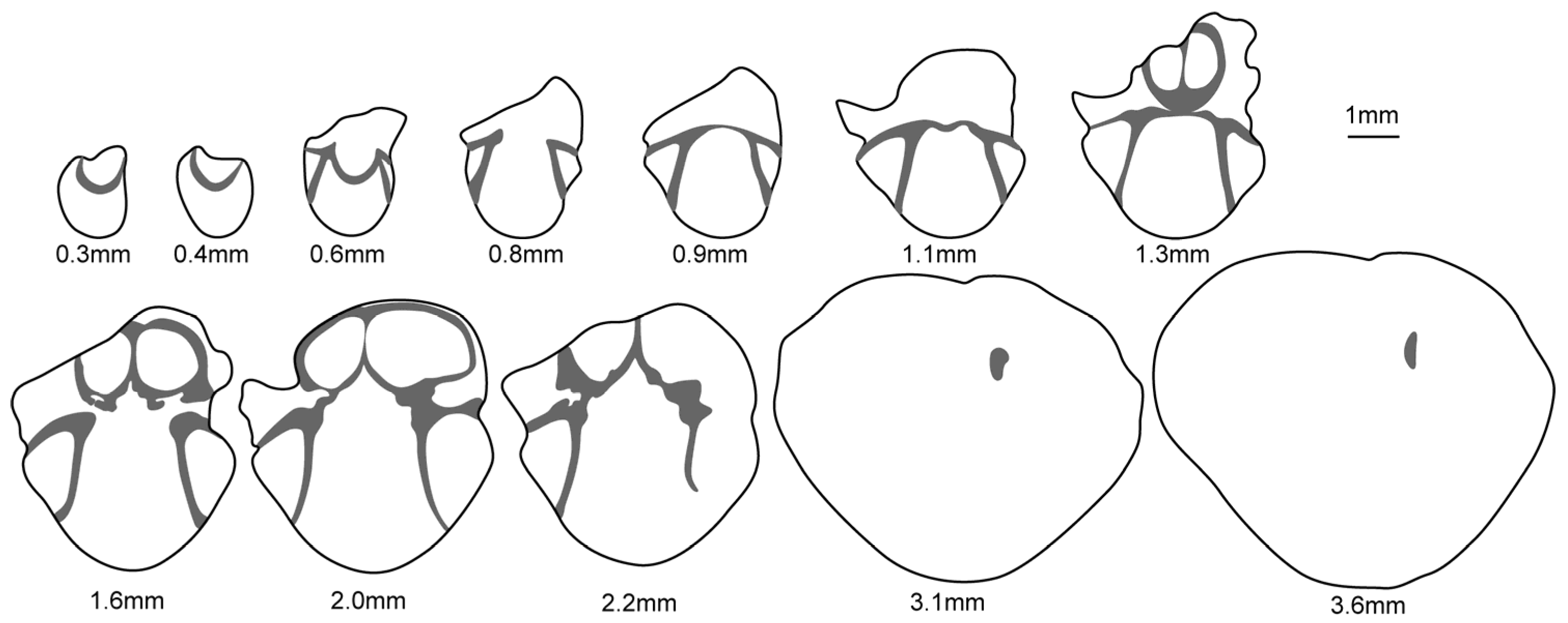 Biology 12 00622 g009
