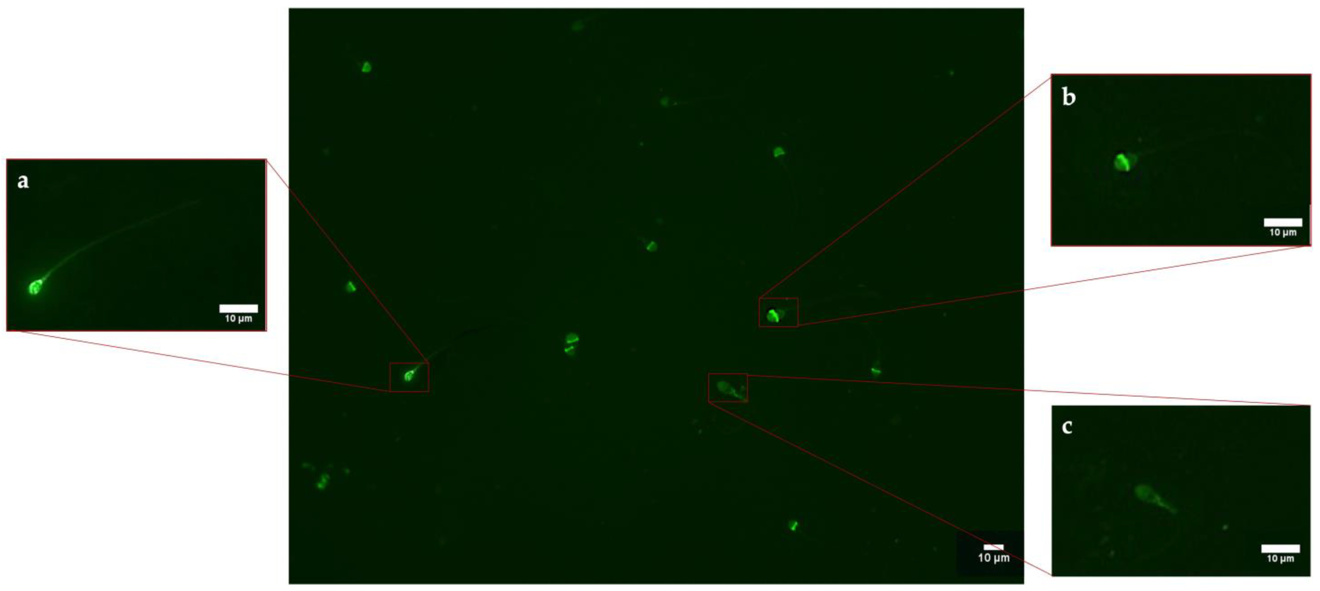 Biology 12 00624 g002