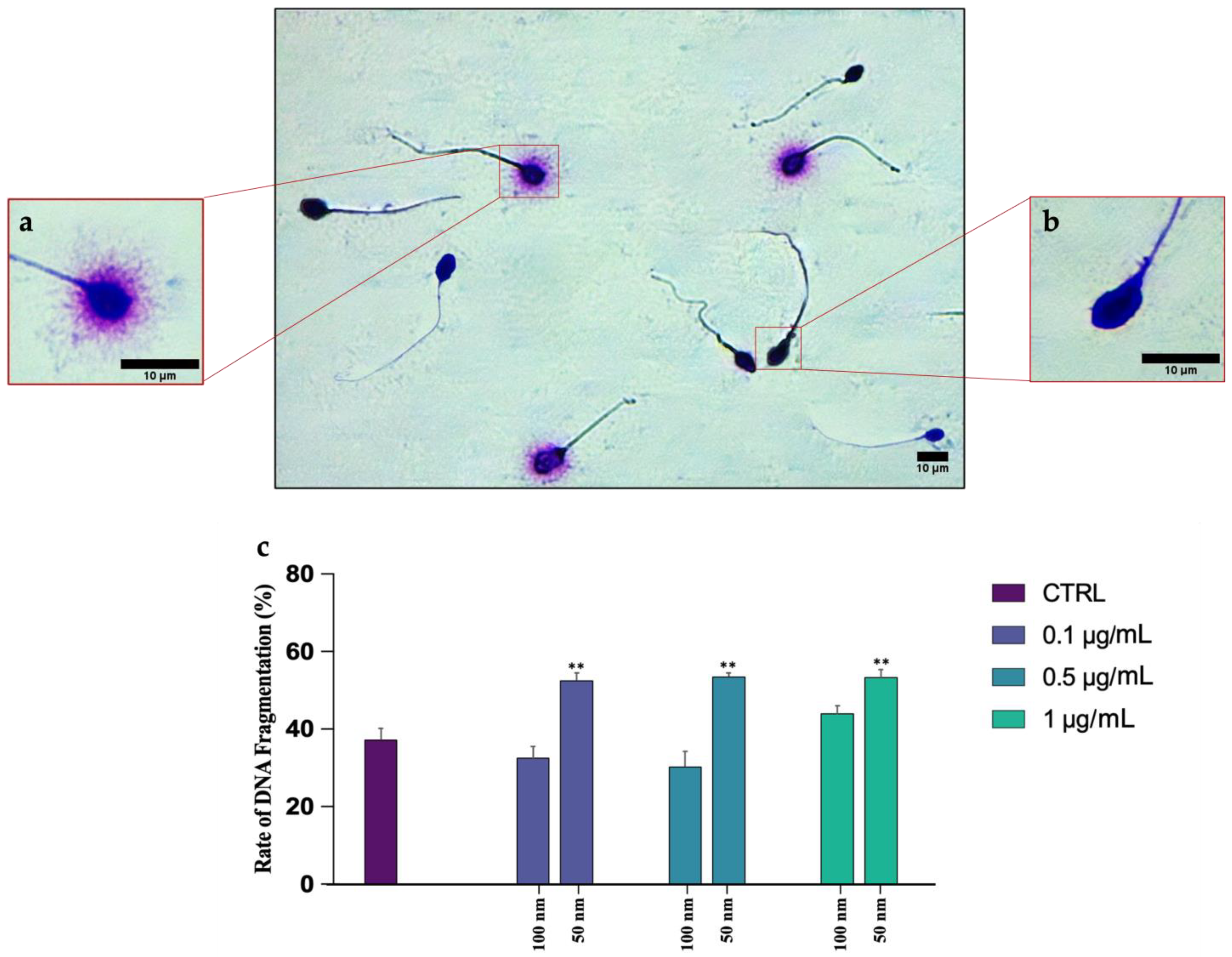 Biology 12 00624 g004