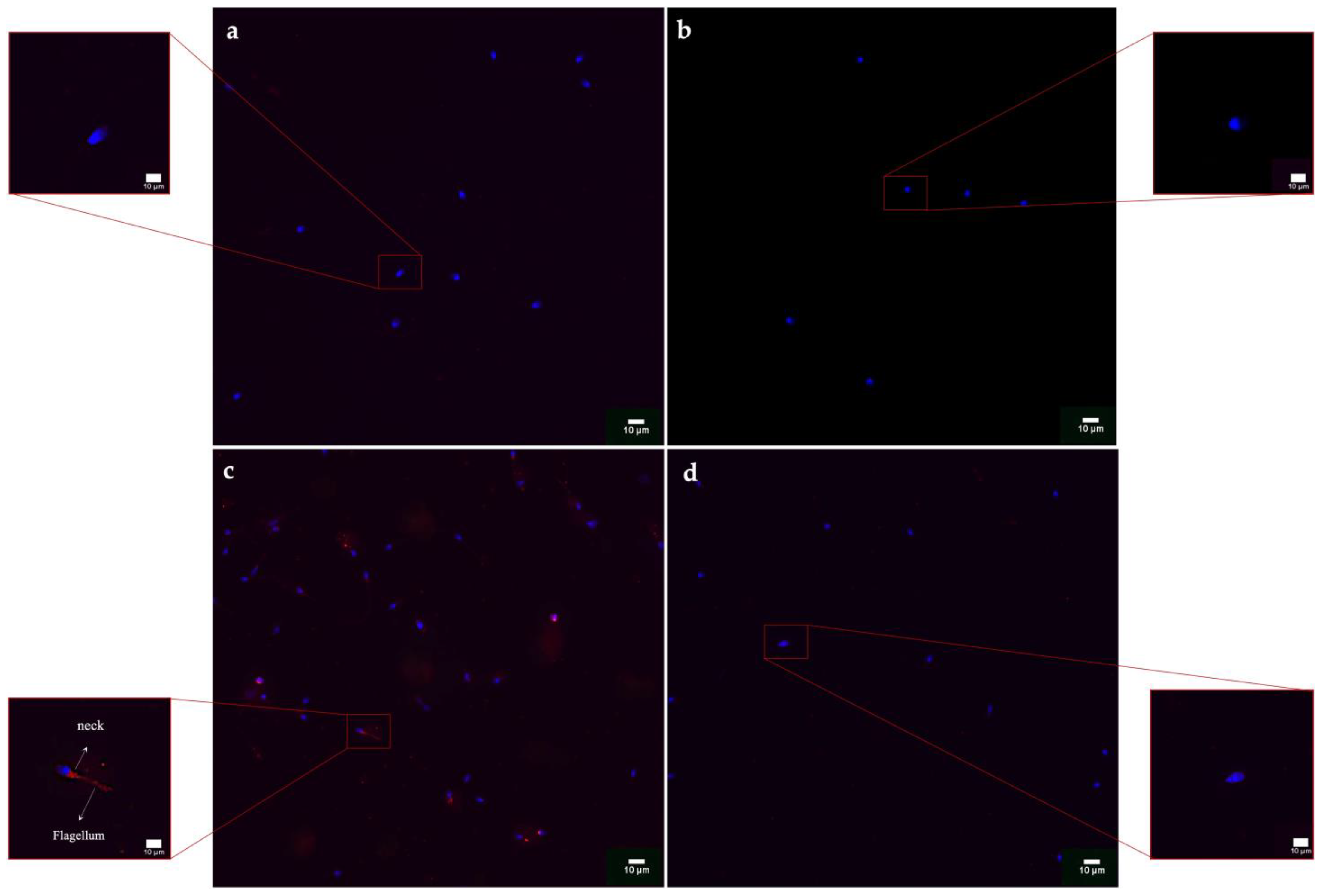 Biology 12 00624 g008