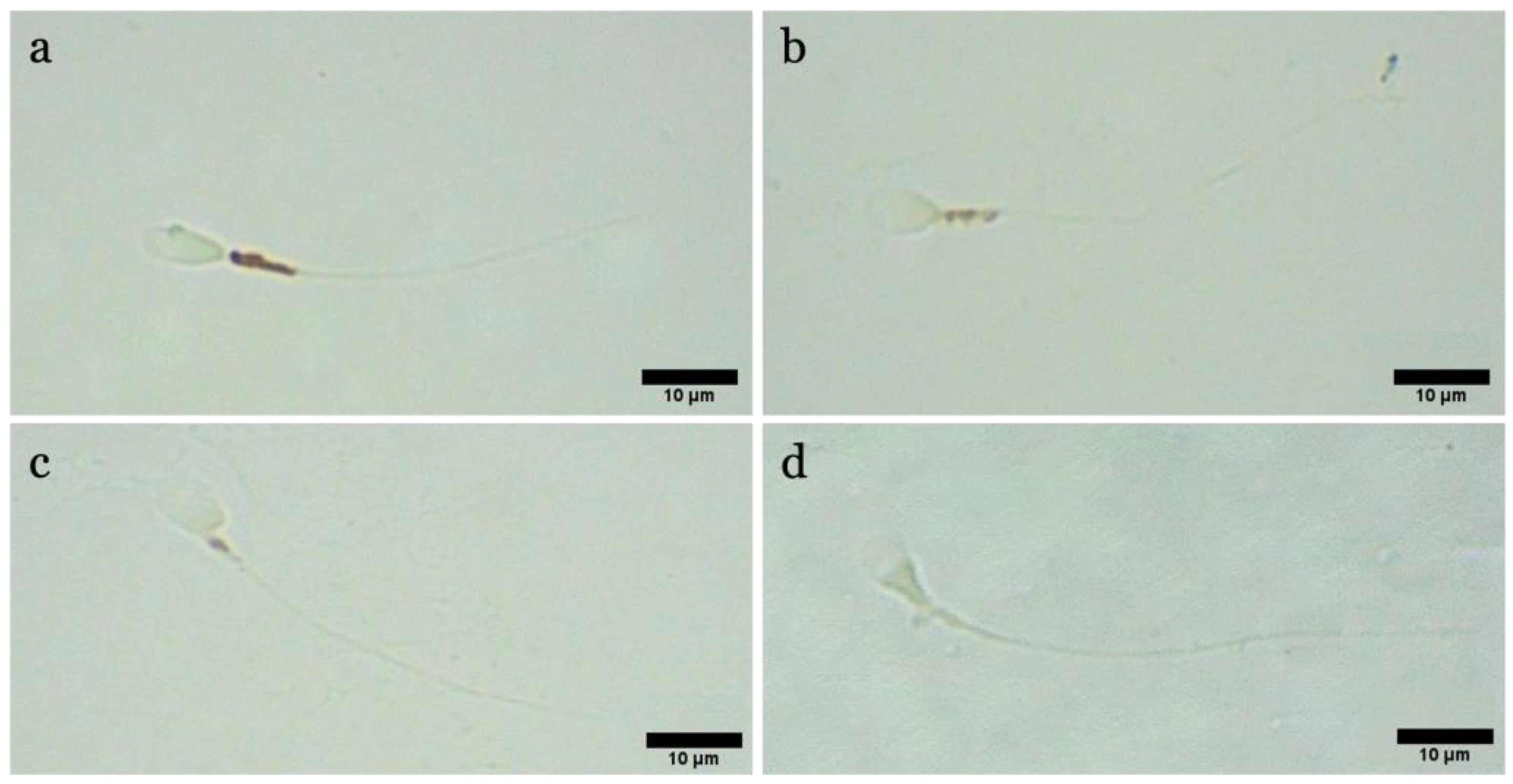 Biology 12 00624 g011