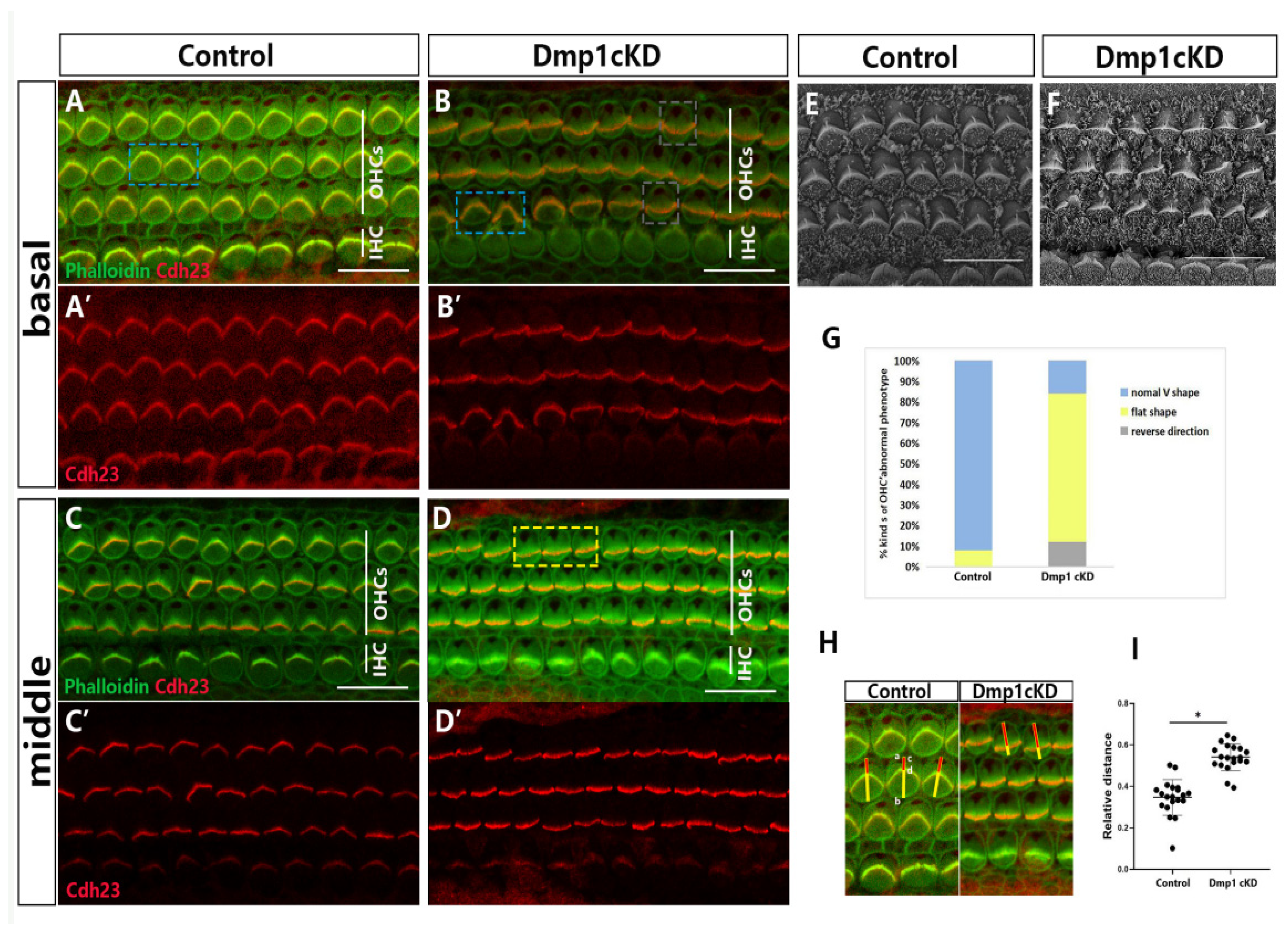 Biology 12 00625 g002 Biology 12 00625 g002