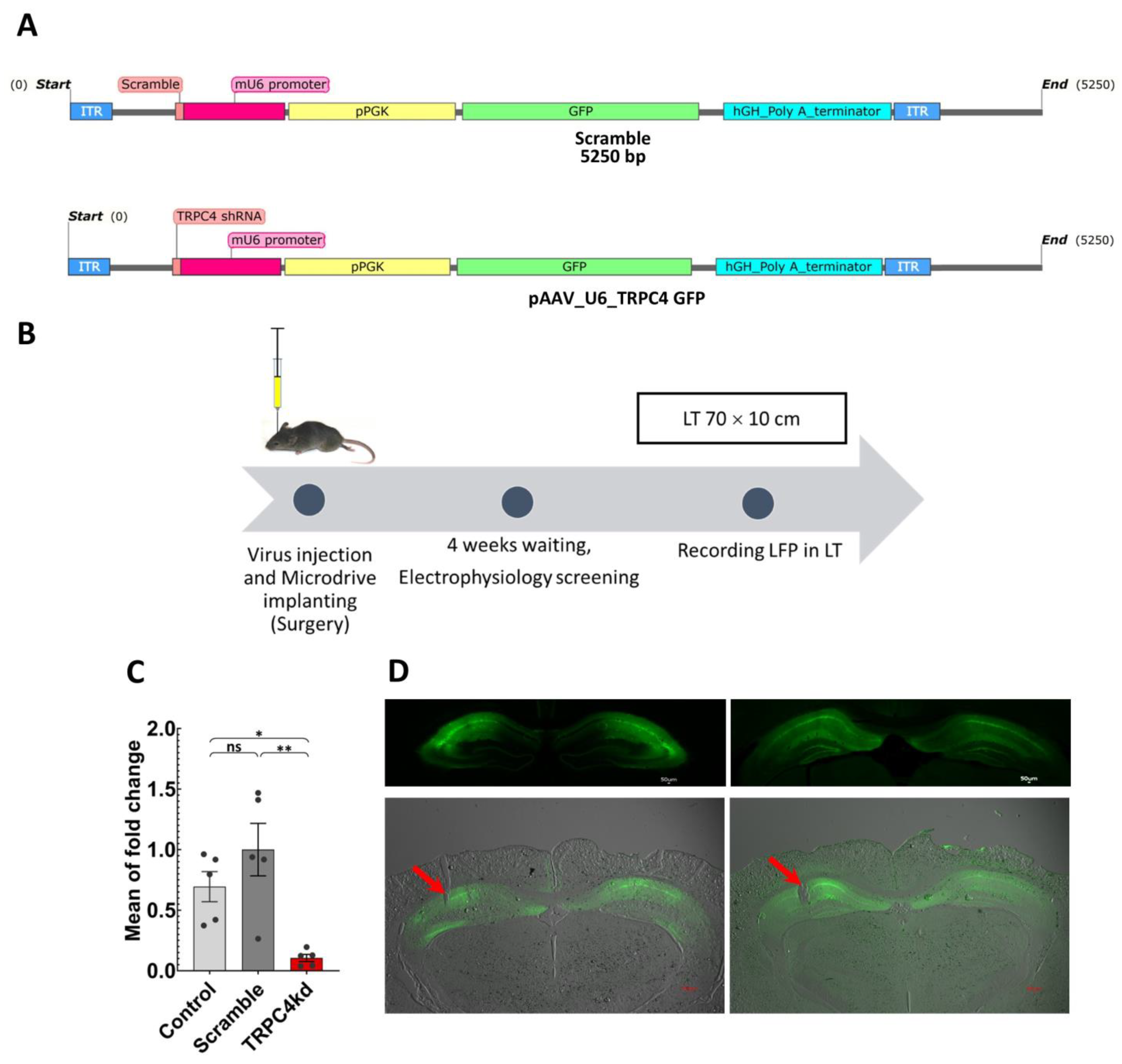 Biology 12 00629 g001