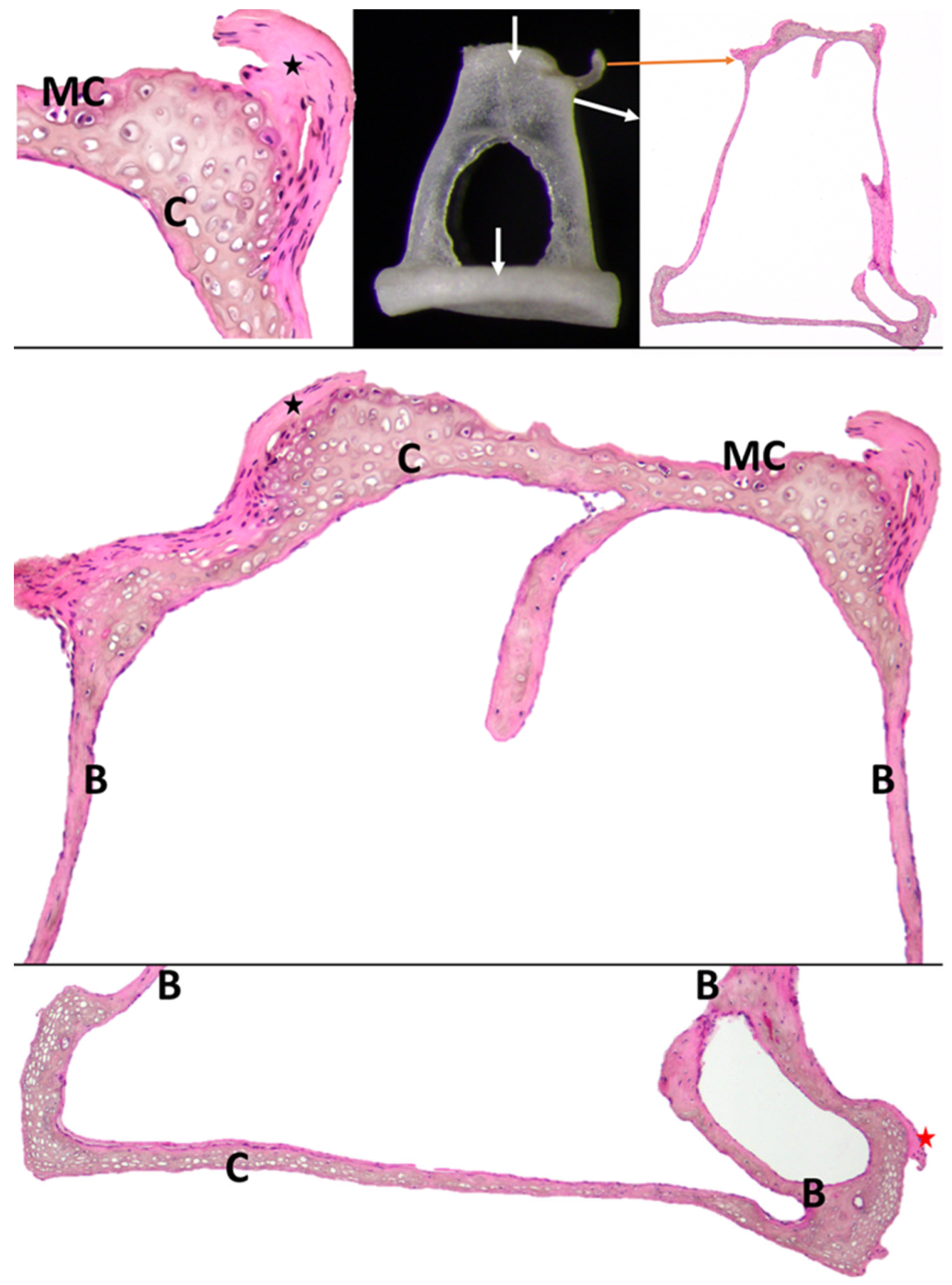 Biology 12 00631 g006