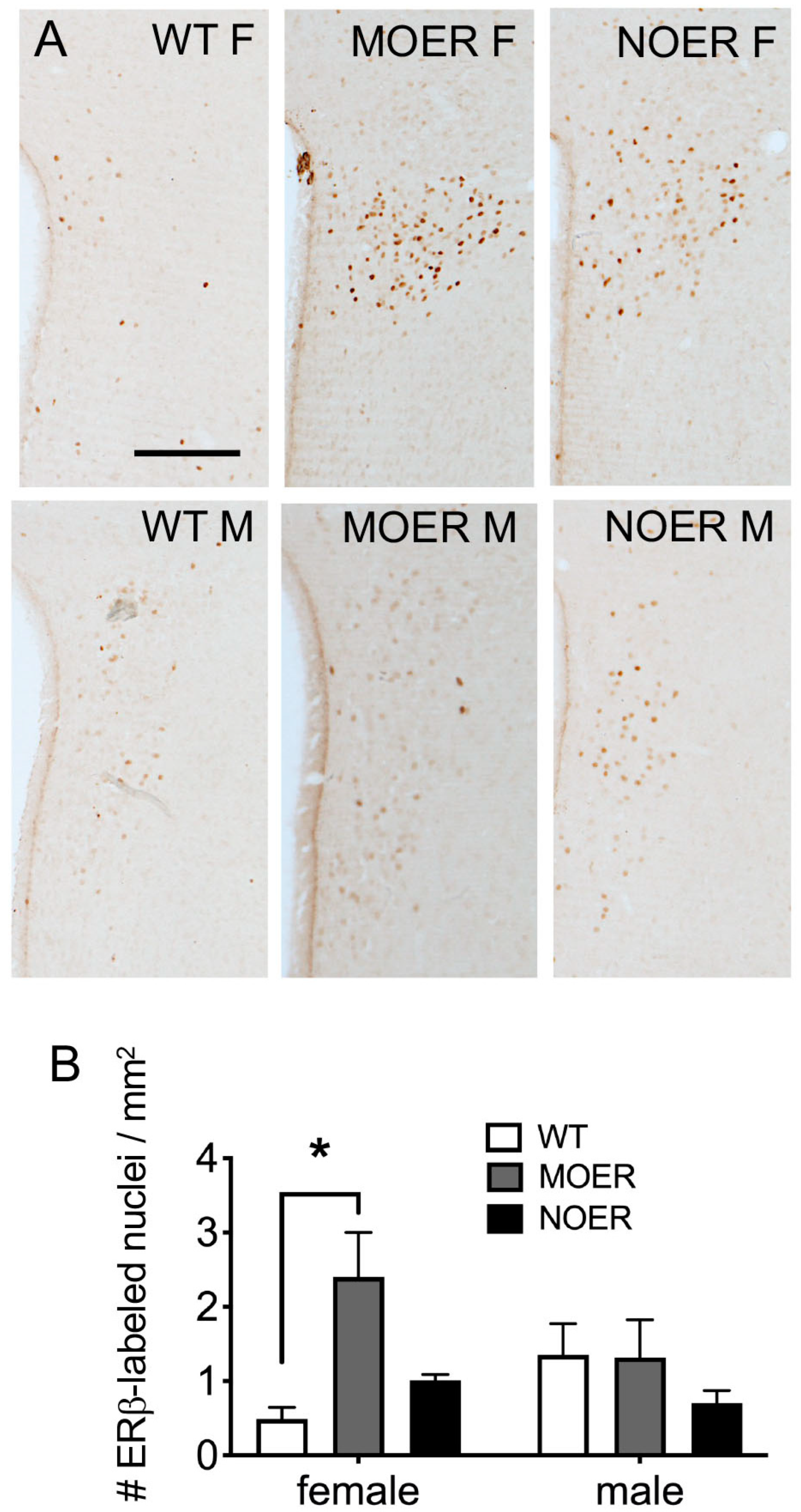 Biology 12 00632 g002 Biology 12 00632 g002