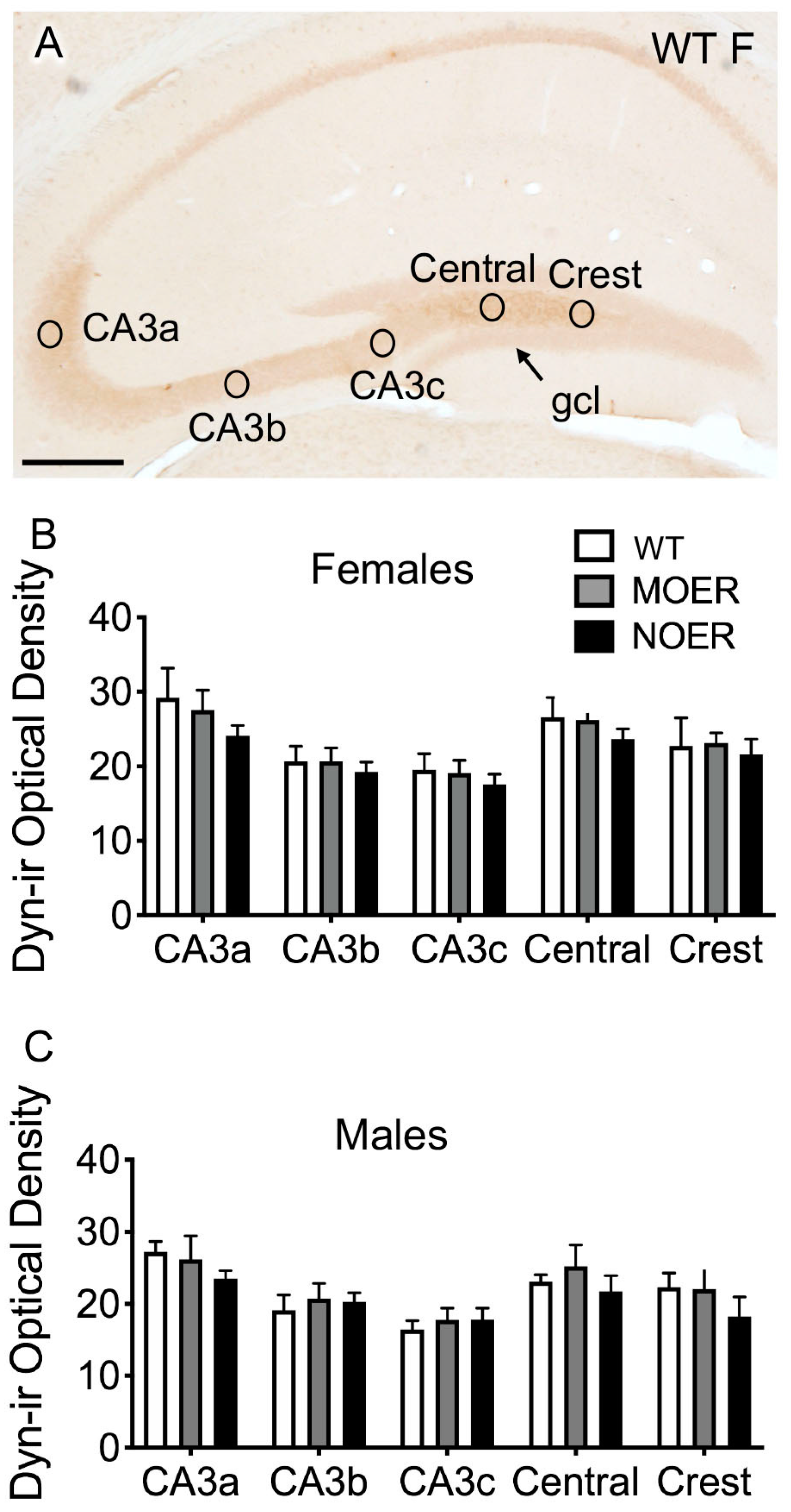 Biology 12 00632 g007 Biology 12 00632 g007