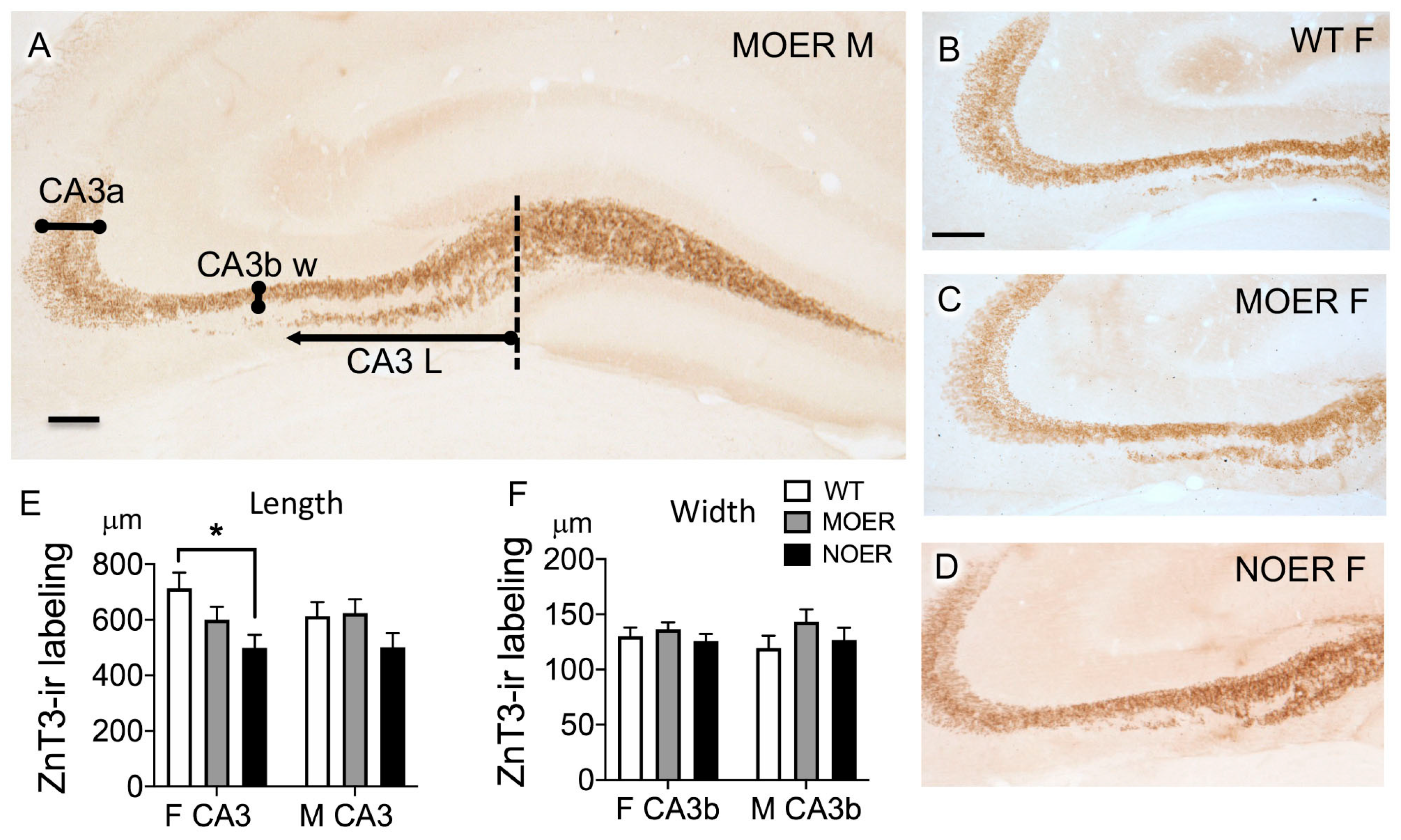 Biology 12 00632 g008 Biology 12 00632 g008