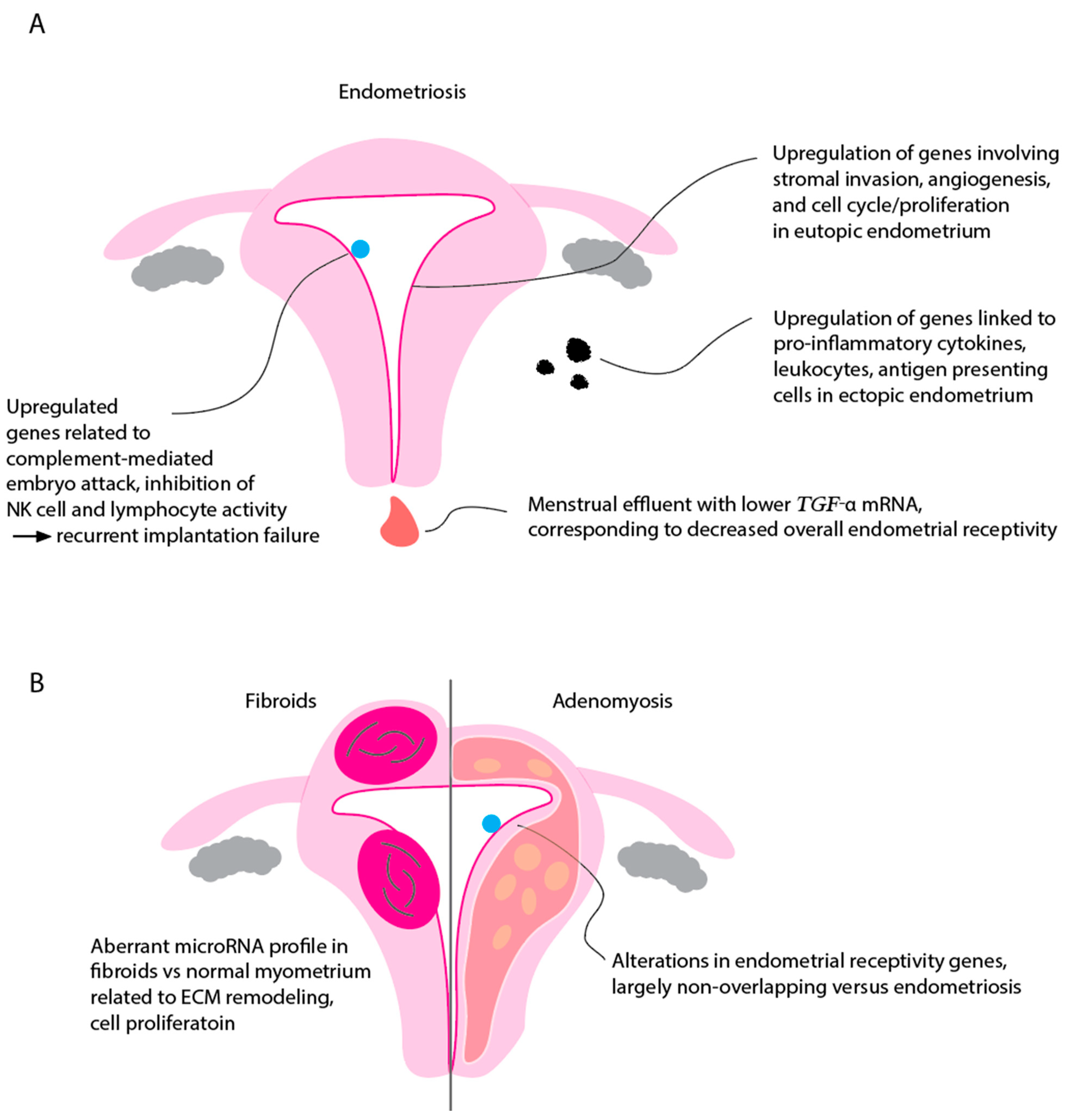 Biology 12 00634 g002