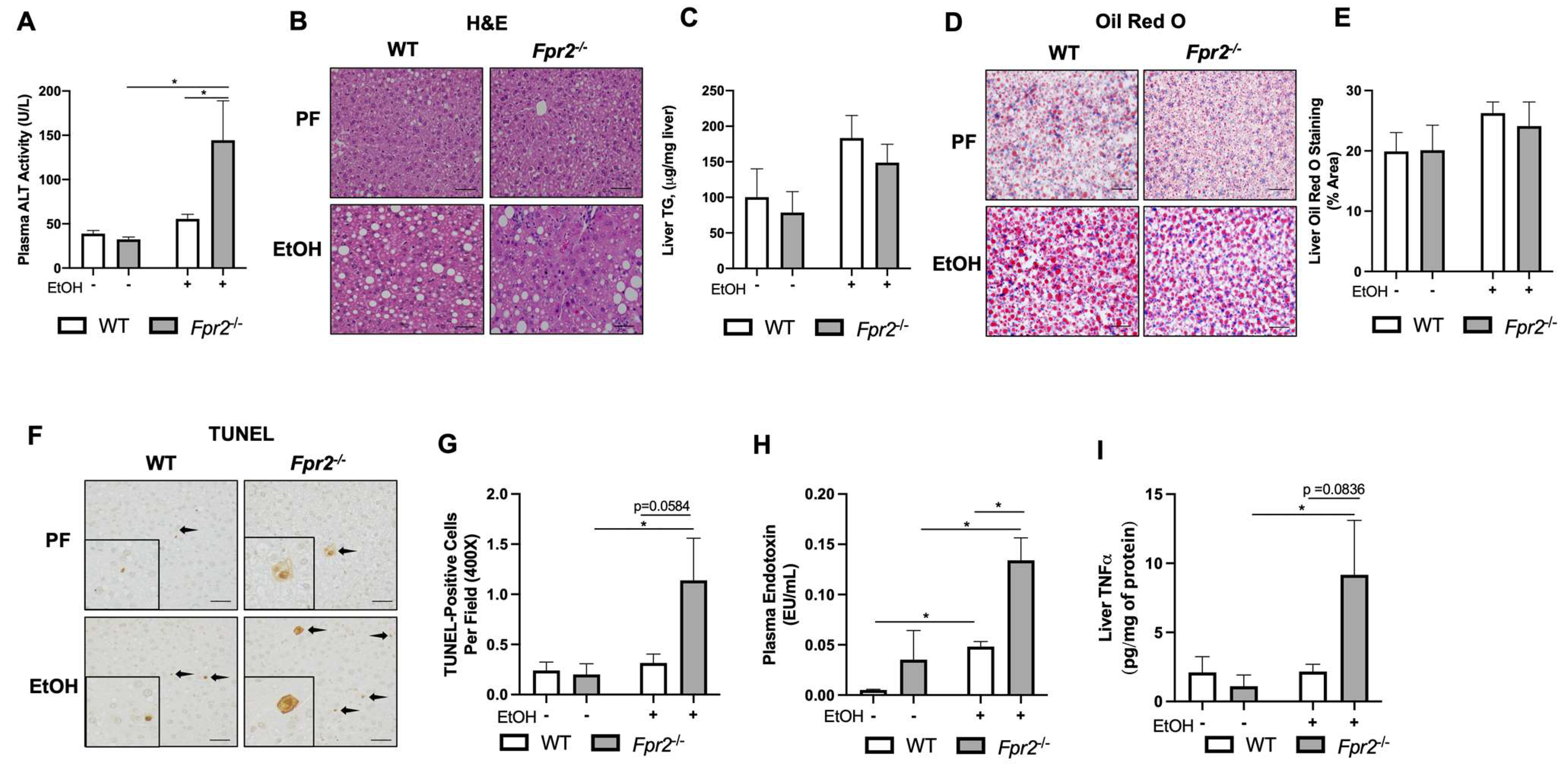 Biology 12 00639 g001