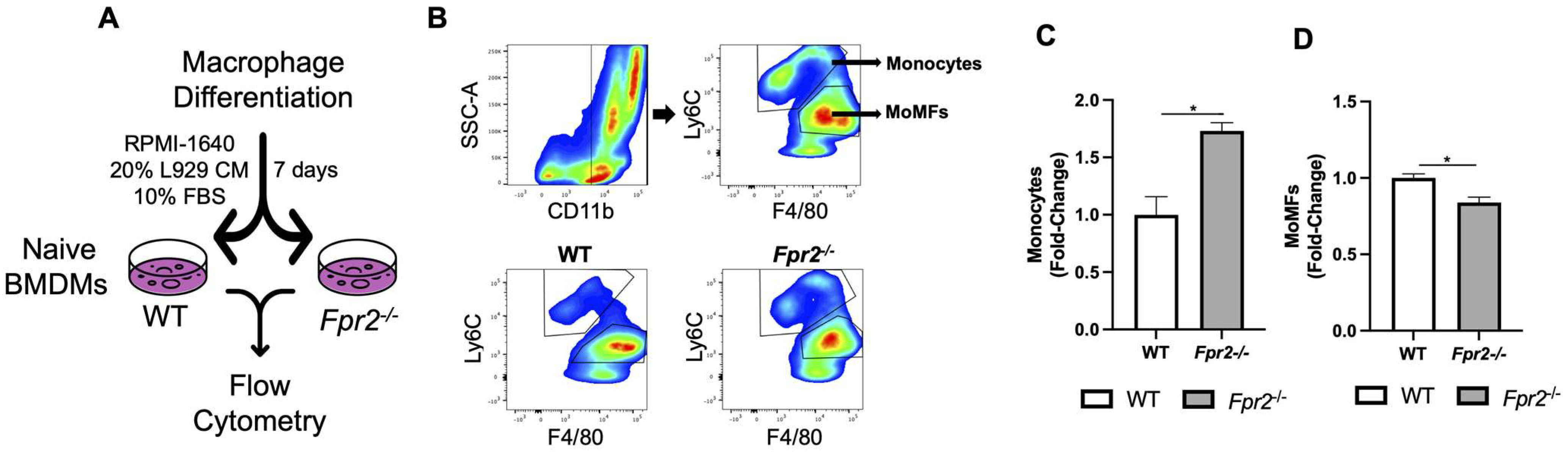 Biology 12 00639 g004