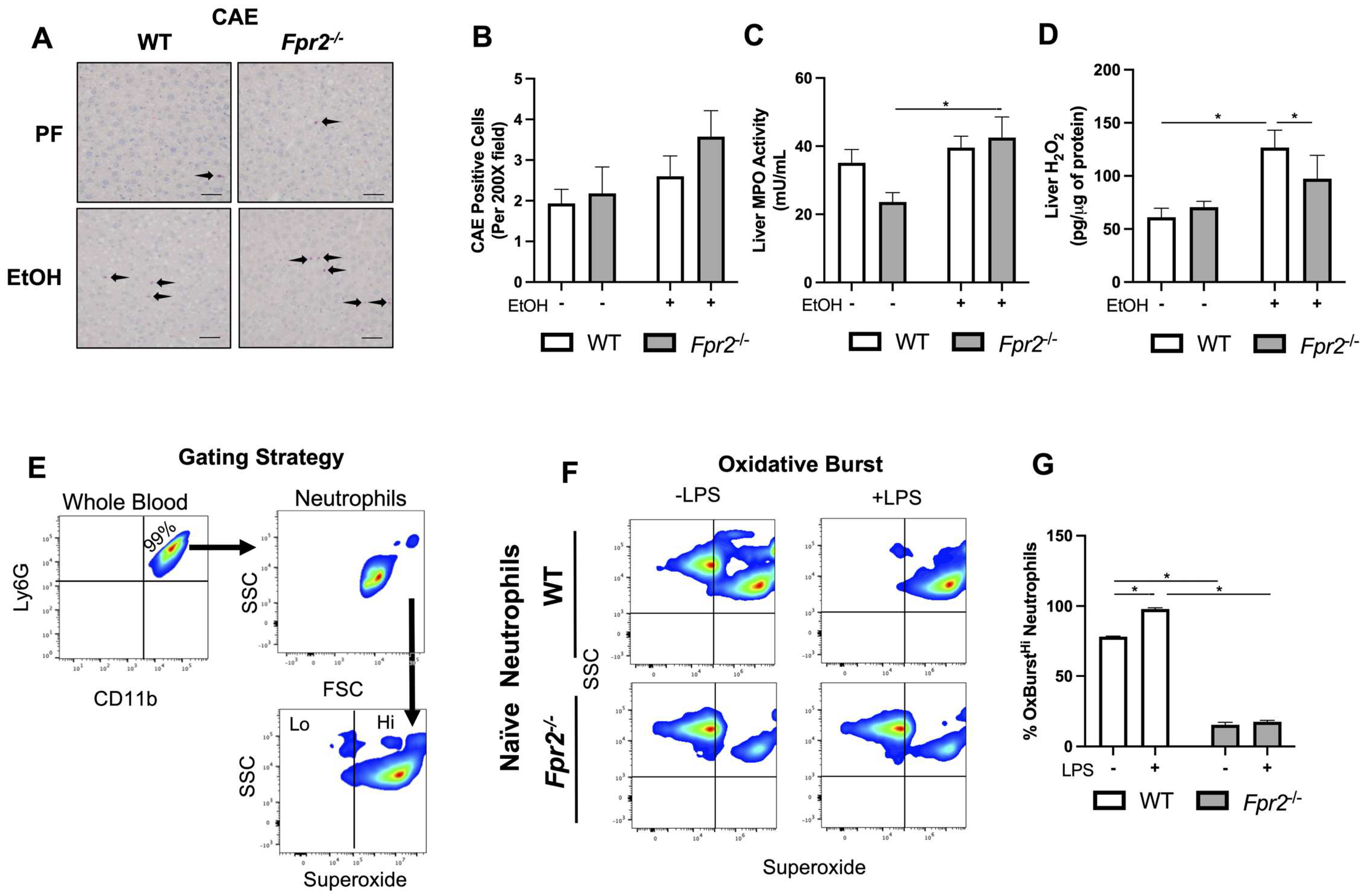 Biology 12 00639 g005