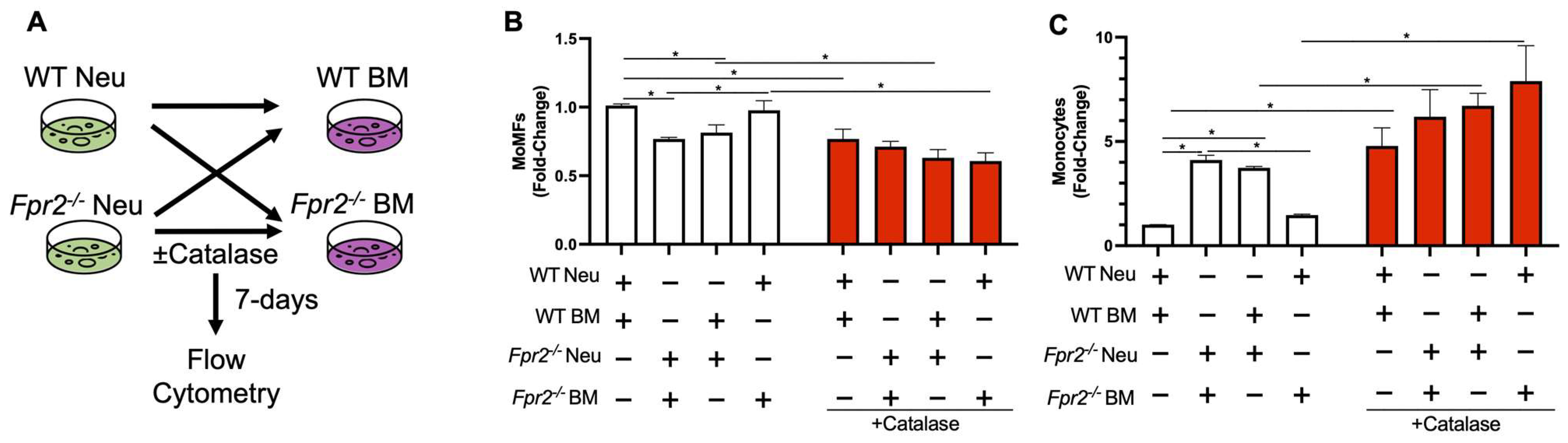 Biology 12 00639 g006